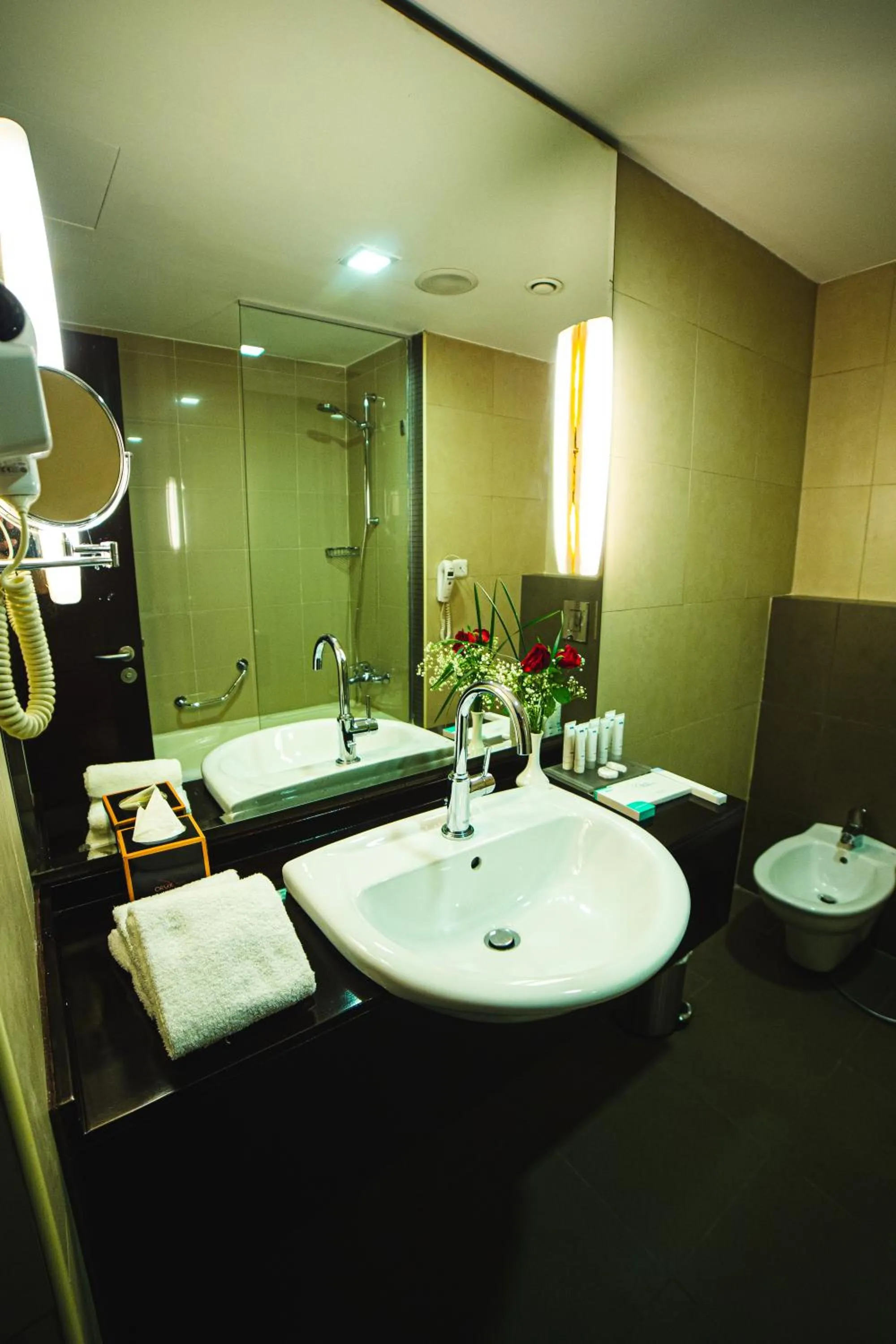 Bathroom in Oryx Hotel Aqaba