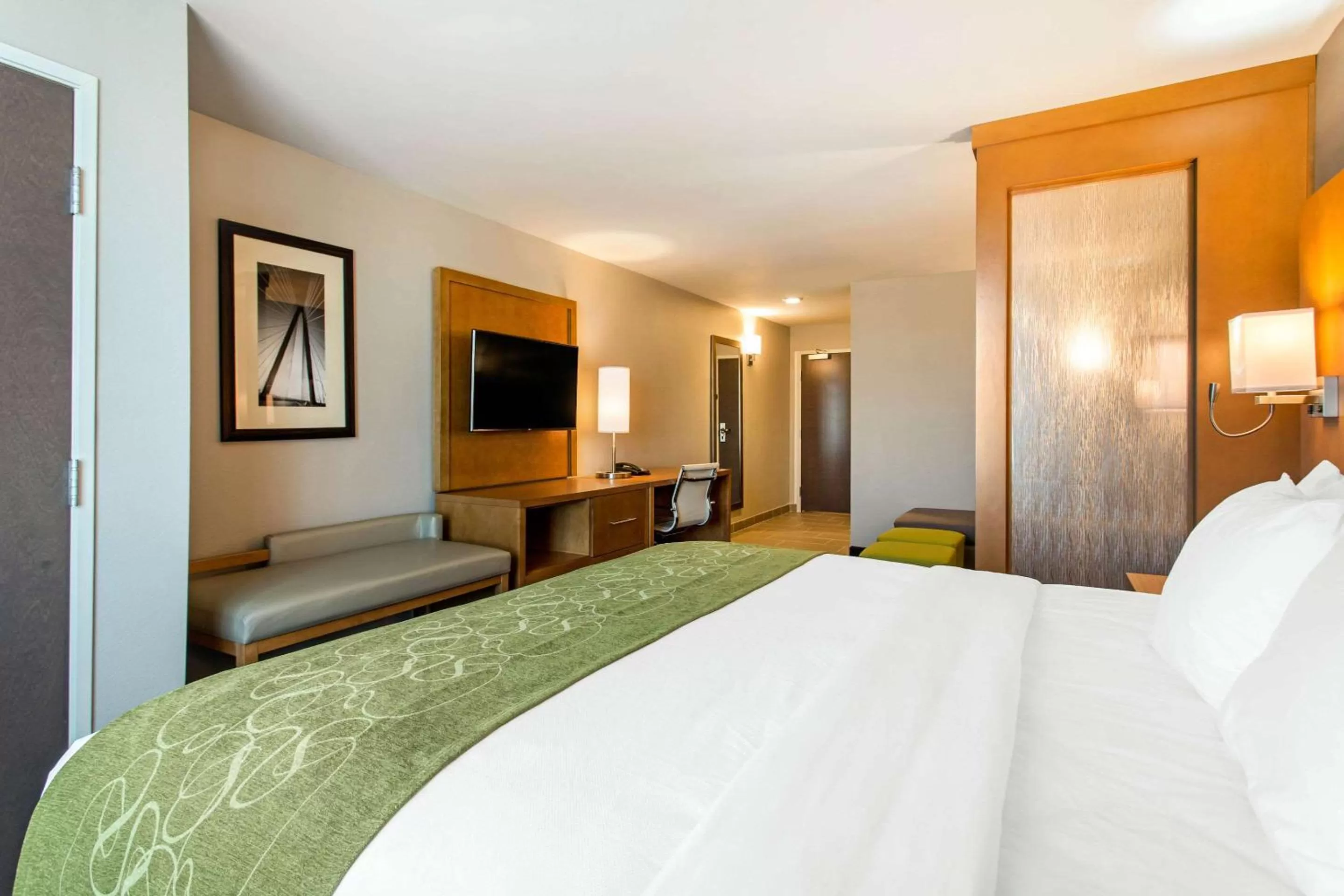 Photo of the whole room, Bed in Comfort Suites North Charleston - Ashley Phosphate