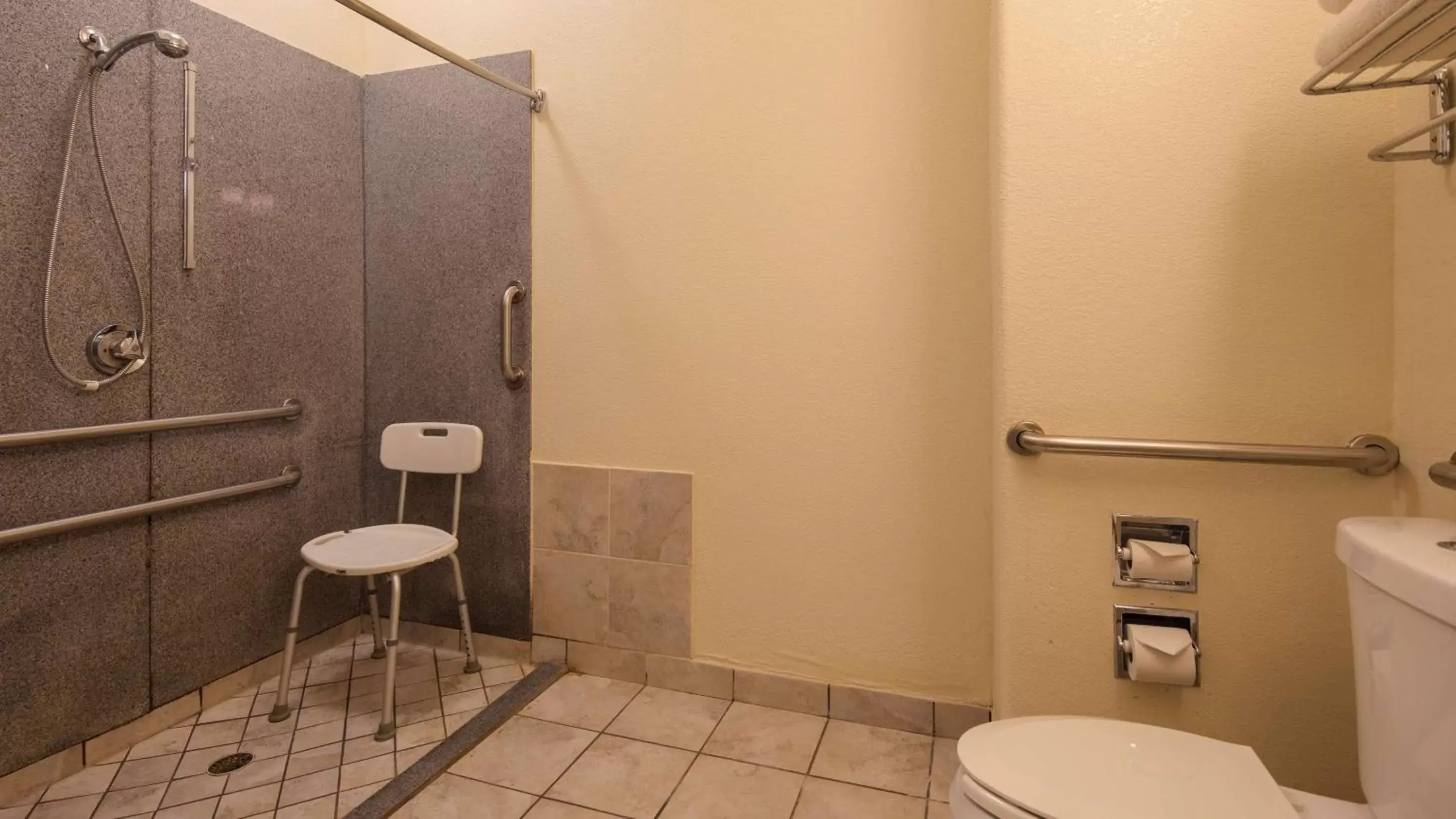 Bathroom in Best Western Palace Inn & Suites