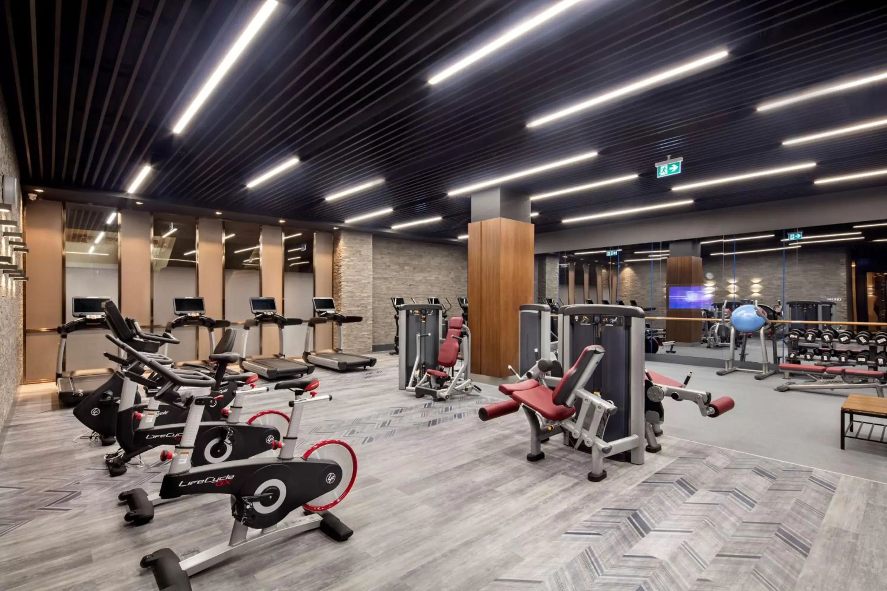 Fitness centre/facilities, Fitness Center/Facilities in DoubleTree By Hilton Skopje