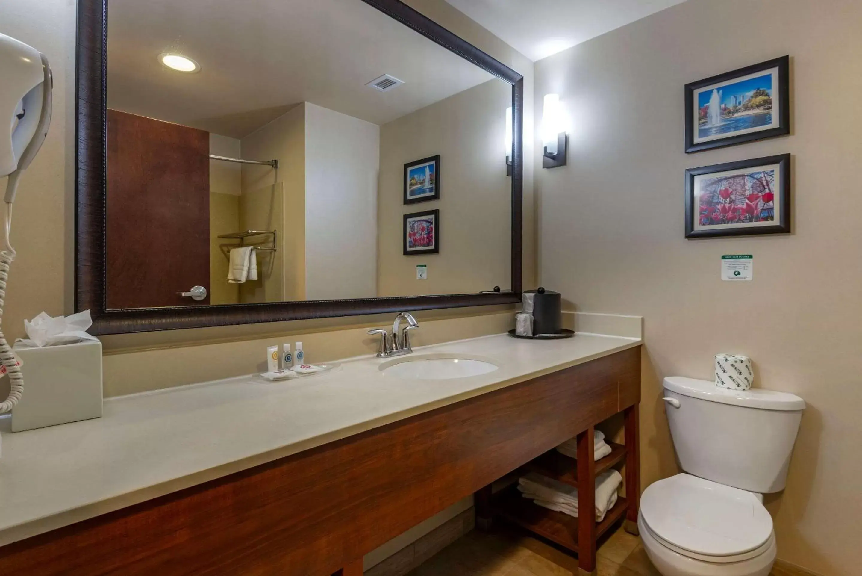 Bedroom, Bathroom in Comfort Suites Lake Norman - Huntersville