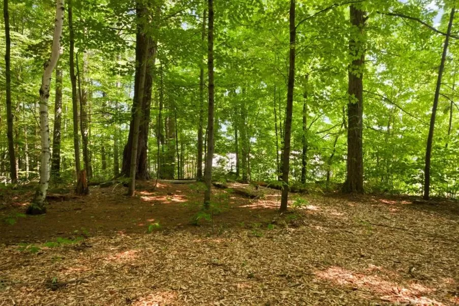 Day in Super 8 by Wyndham Lake George/Downtown