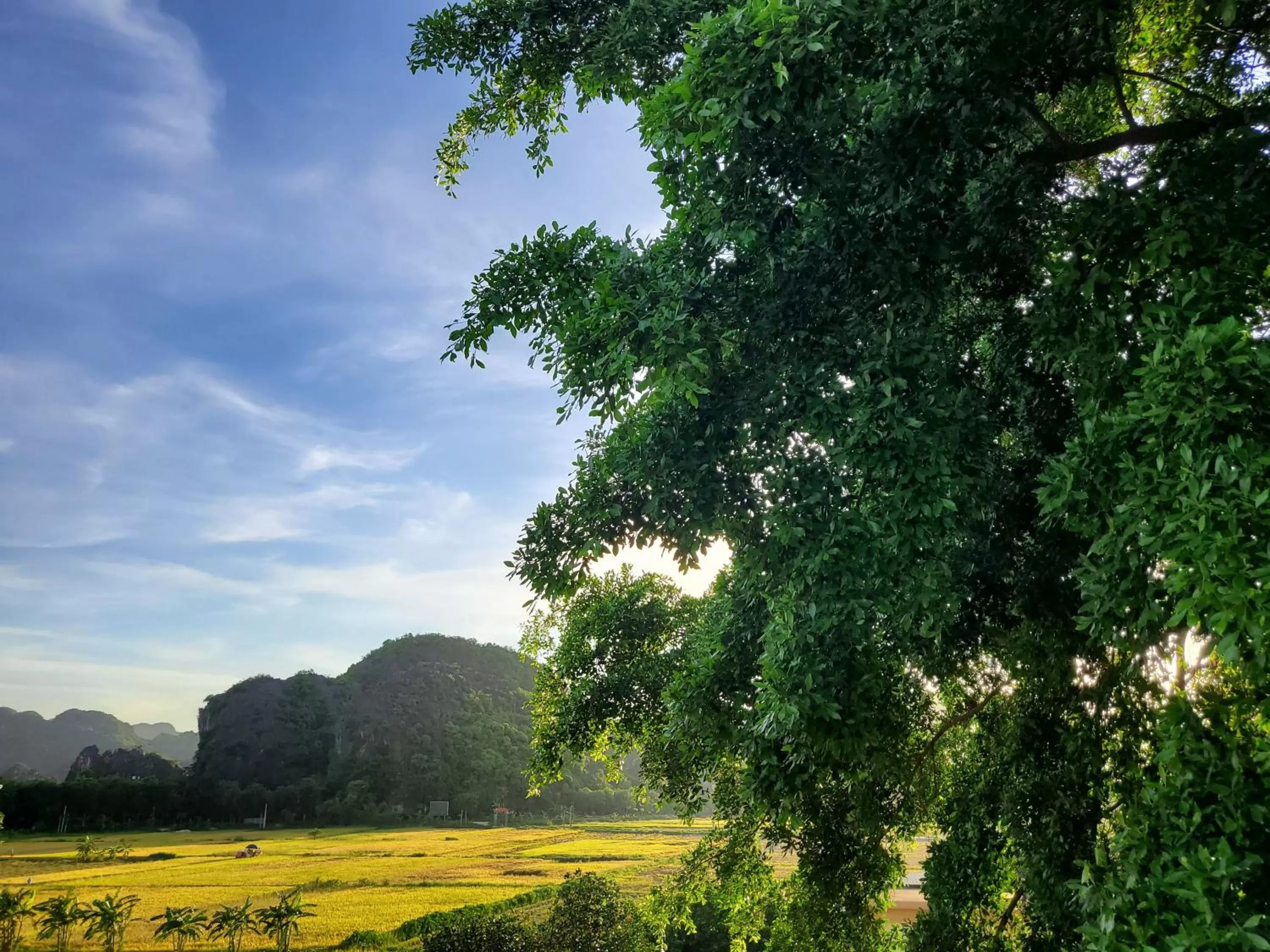 Day in Bamboo Hill Villa