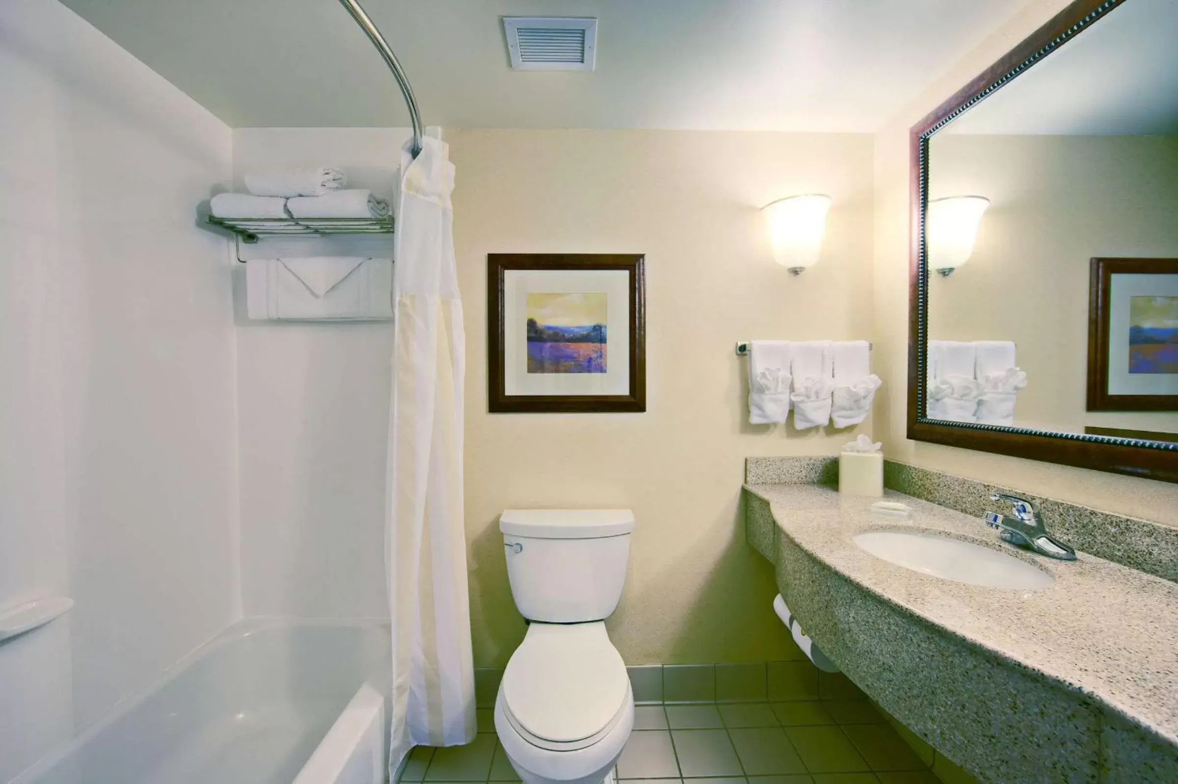 Bathroom in Hilton Garden Inn Springfield, IL