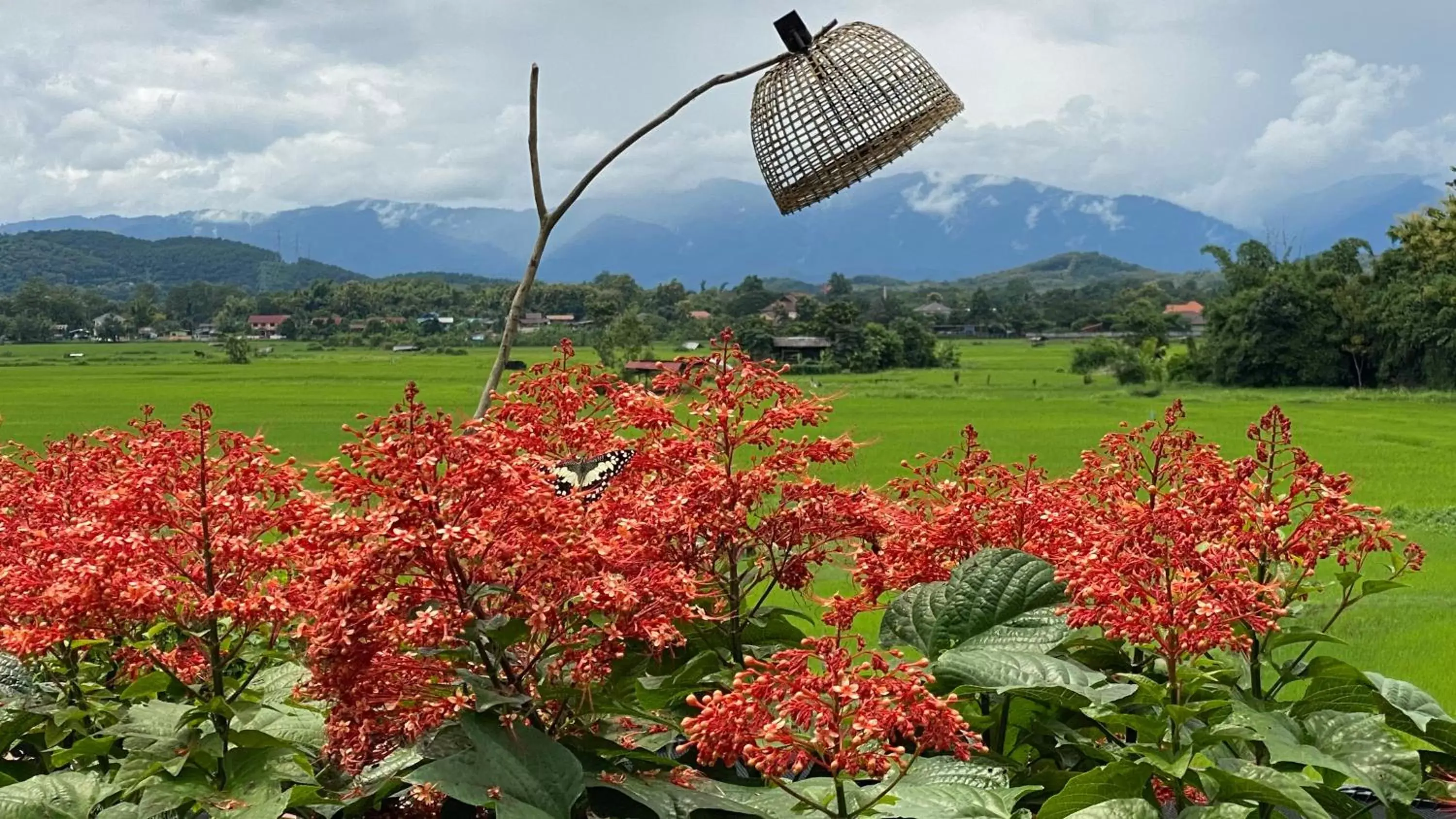 Mountain View in Nan Seasons Boutique Resort