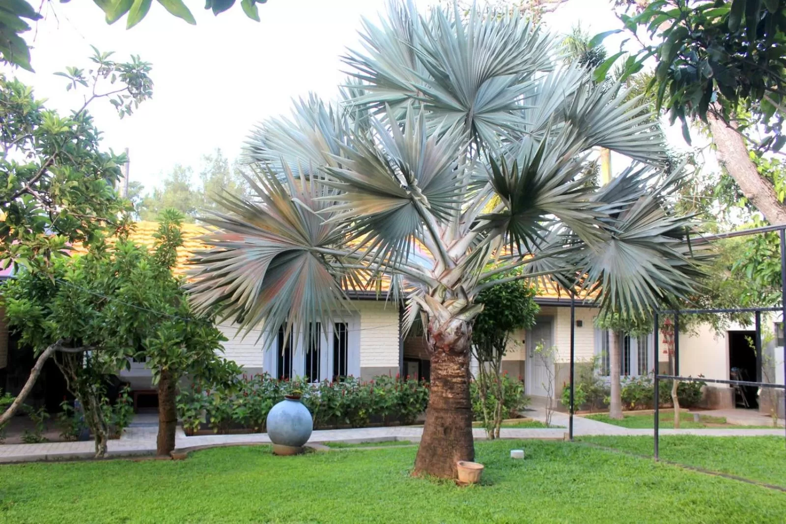 Garden view in Morning Star Resorts