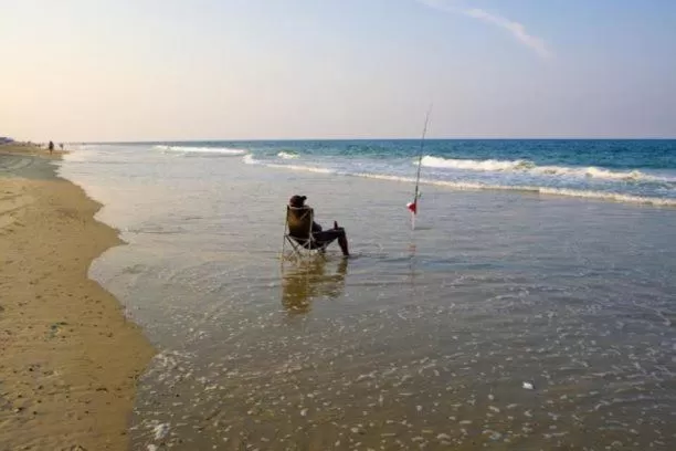Entertainment in Swell Motel
