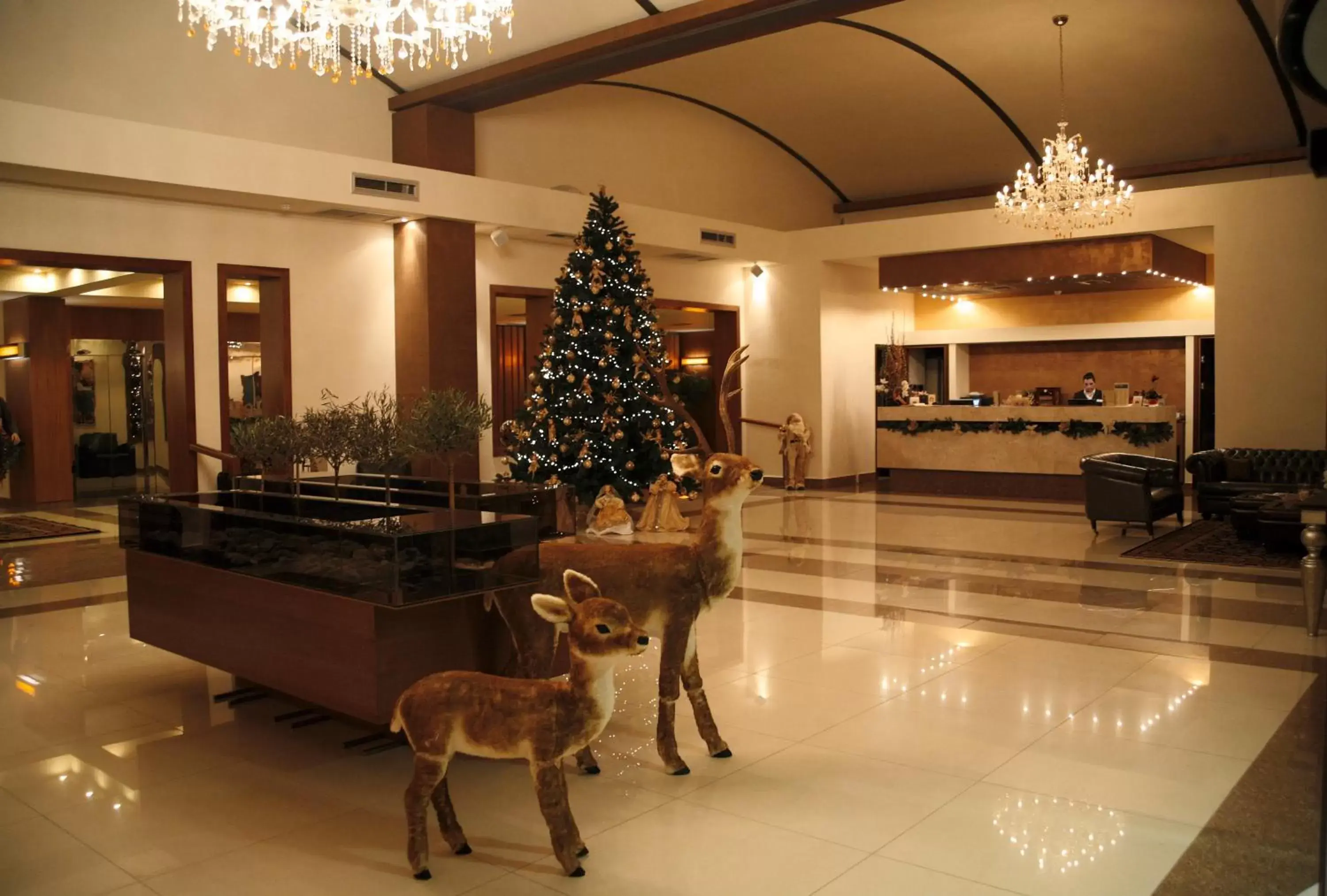 Lobby or reception in Valis Resort Hotel