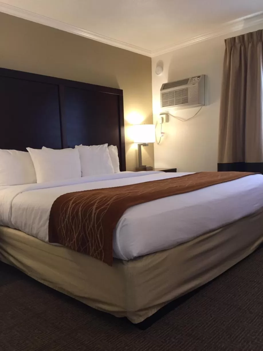 King Suite - Non-Smoking in Comfort Inn