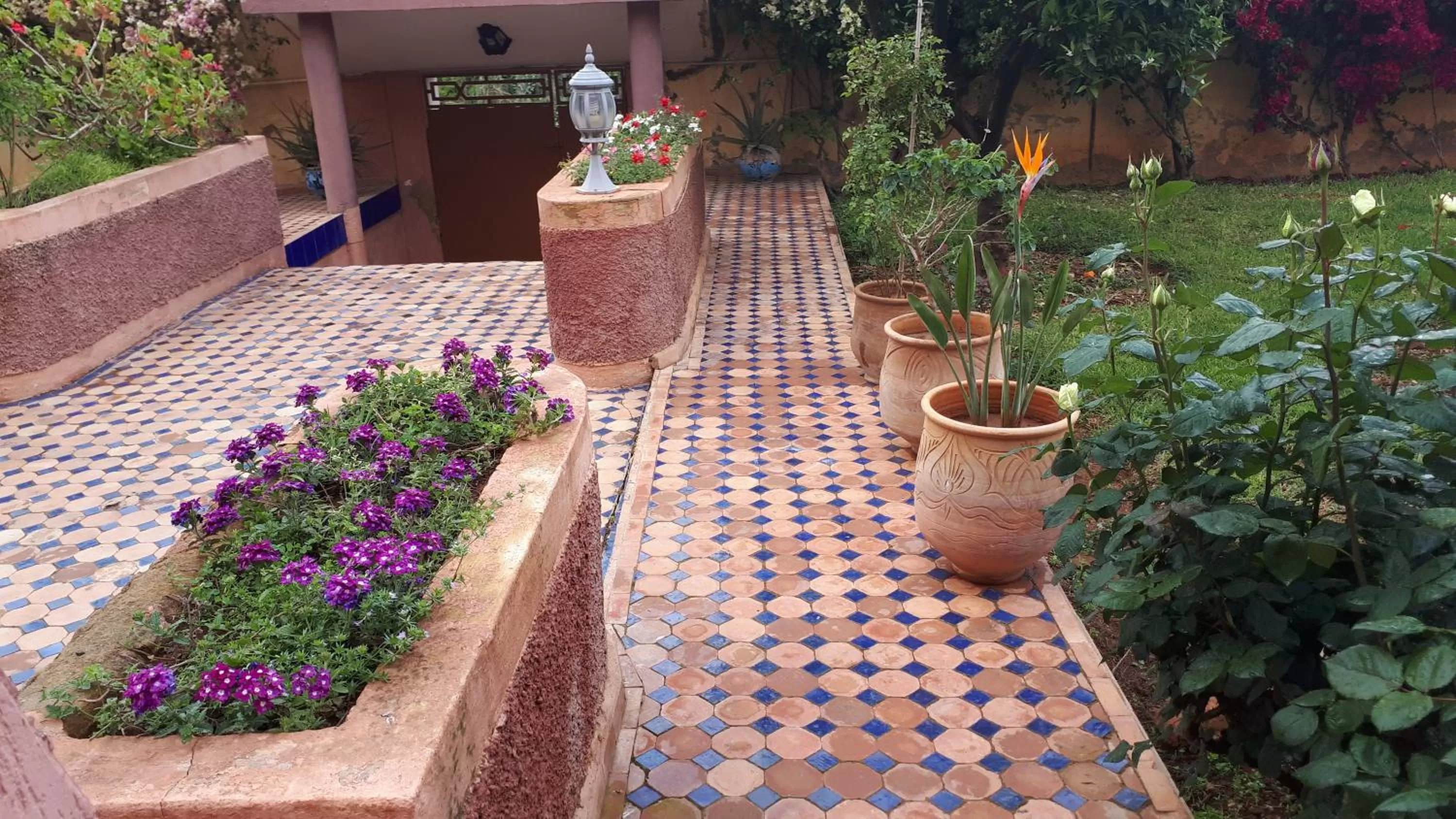 Garden view in Riad Dar Zidane