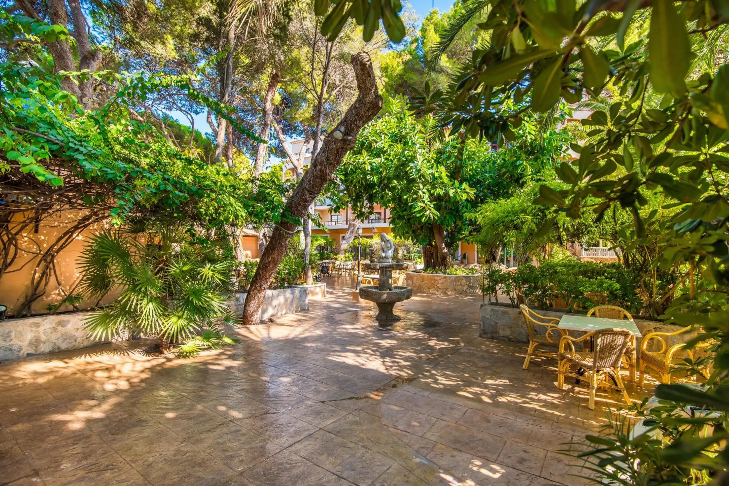 Patio in Hotel Baviera