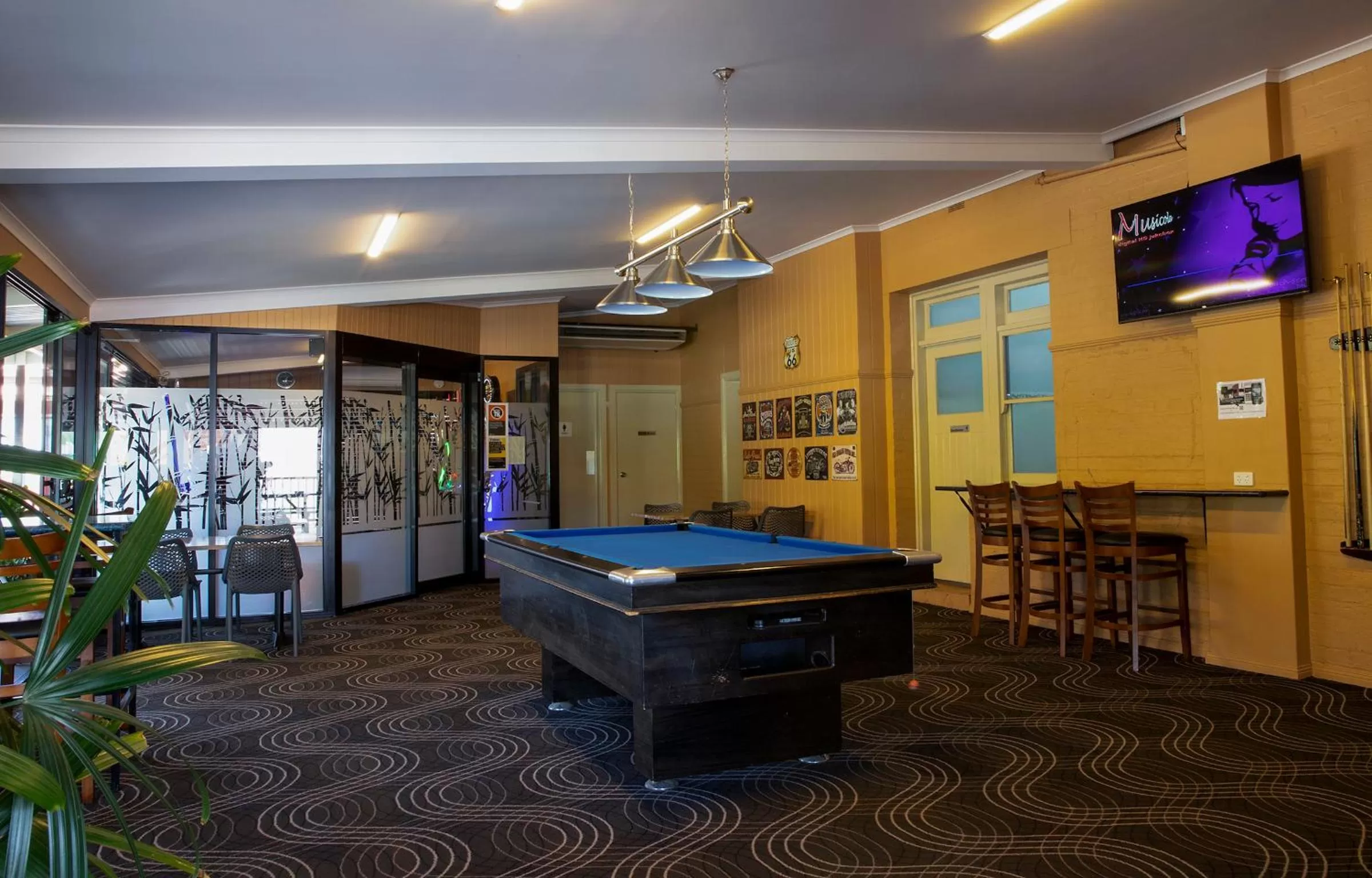 Billiard in Criterion Hotel Gundagai