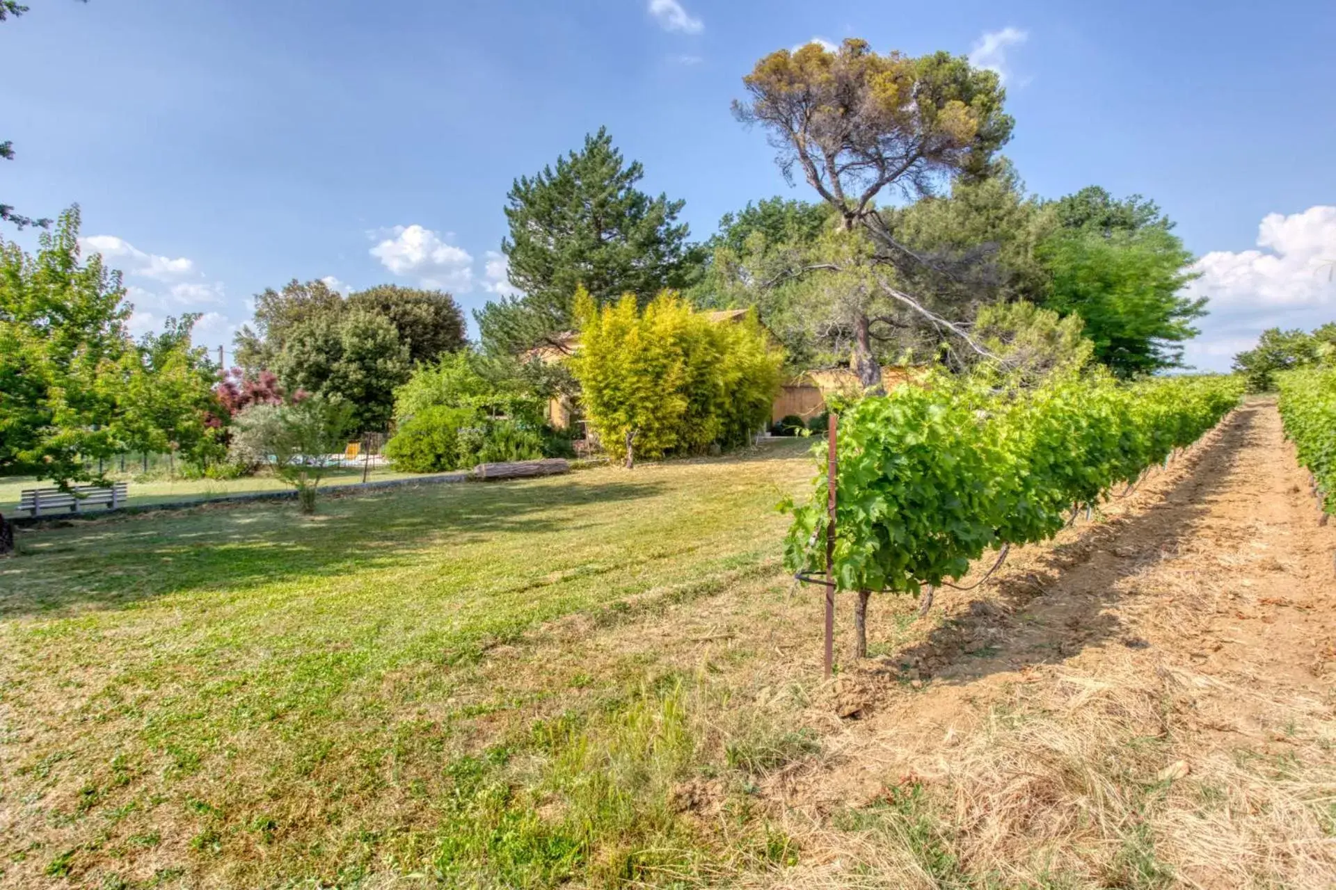 Garden in Mas de Bacalan