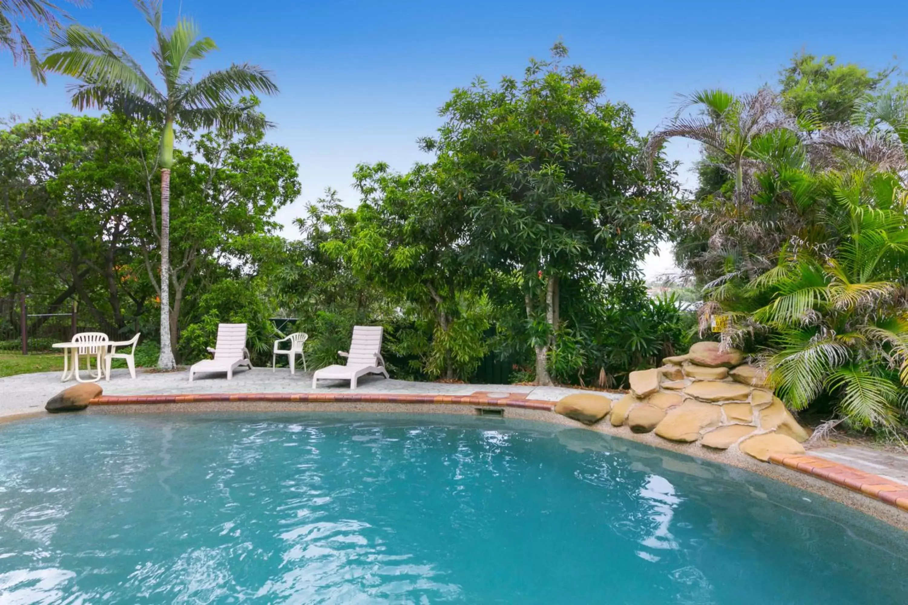 Garden, Swimming Pool in Toowong Villas