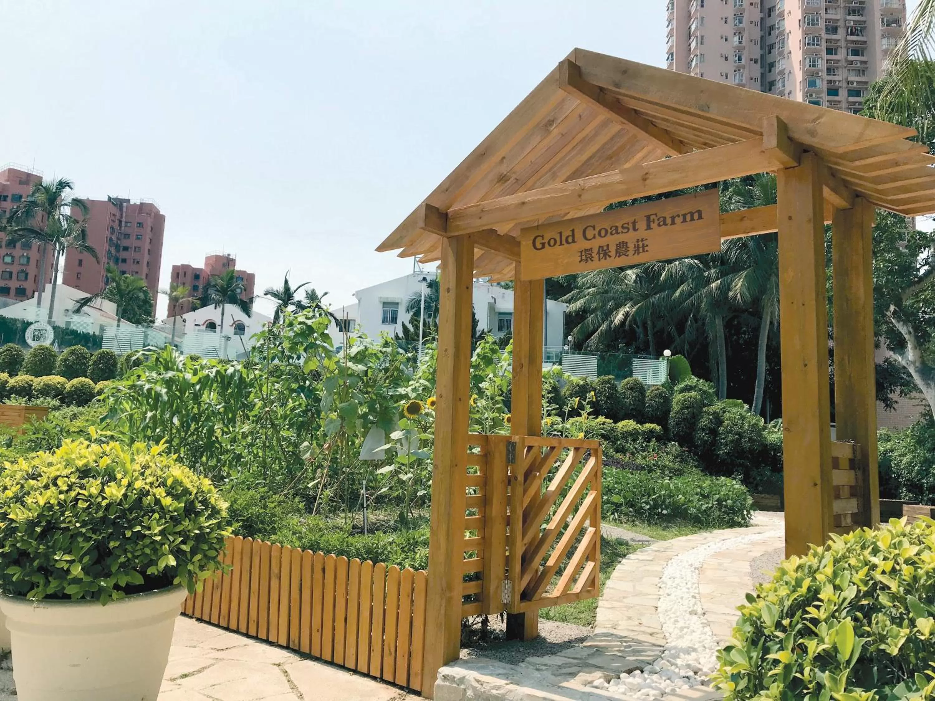 Activities in Hong Kong Gold Coast Hotel