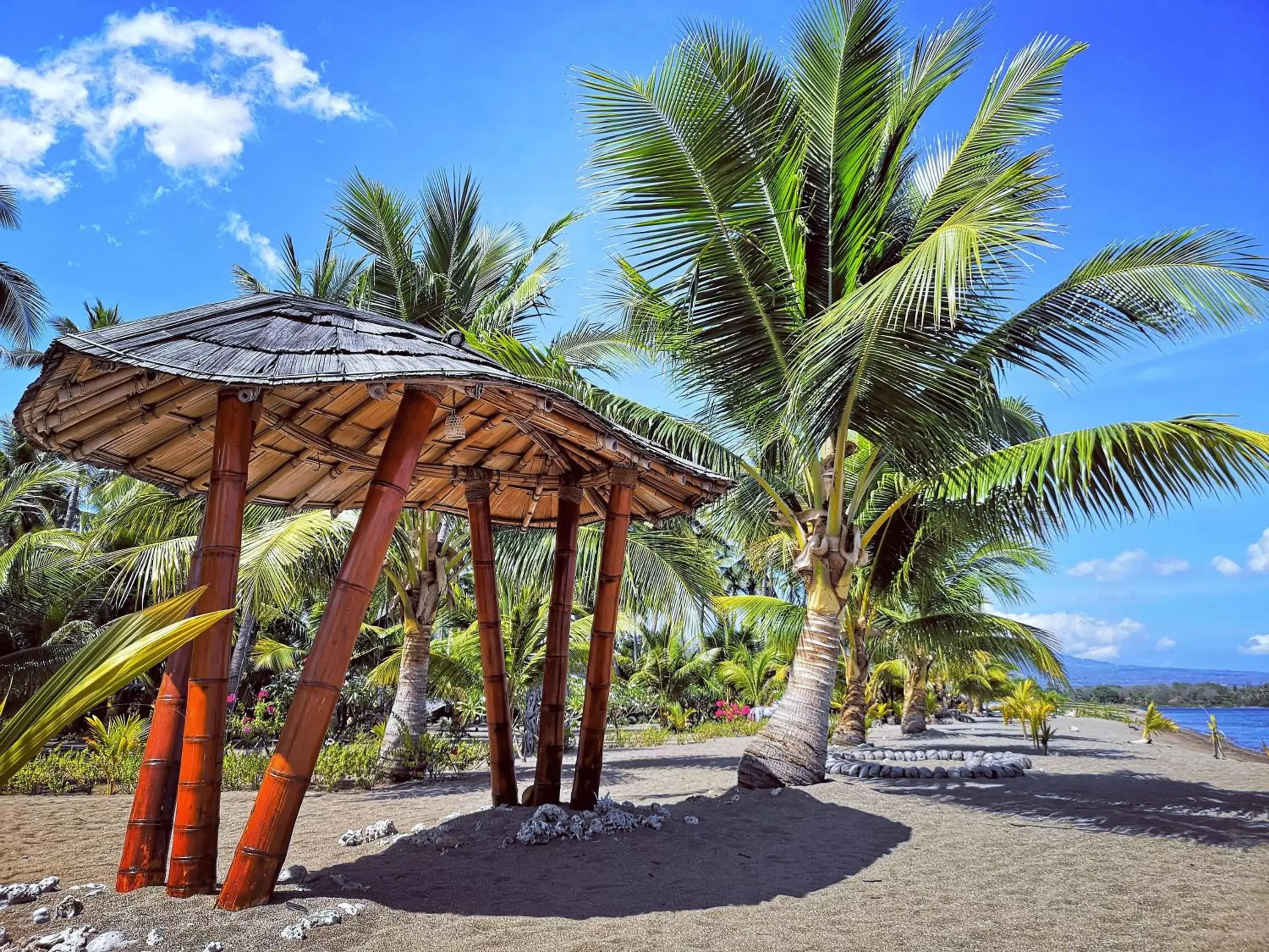 Summer, Beach in Coconut Garden Beach Resort