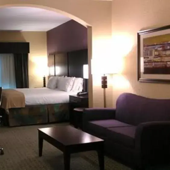 Seating area in Holiday Inn Express Baton Rouge North, an IHG Hotel