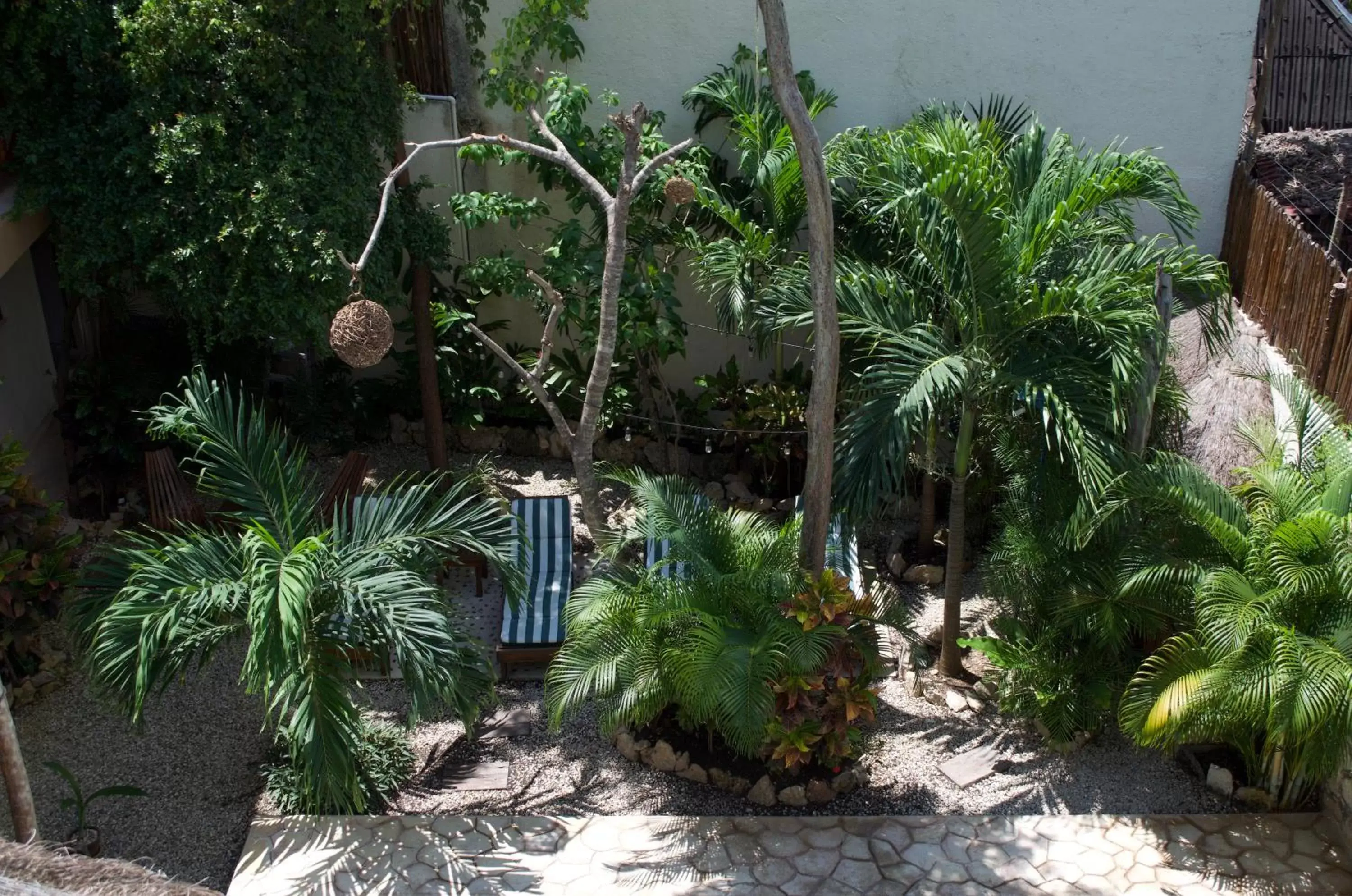 Day, Garden in Aldea San Lam - Oasis Of Tulum