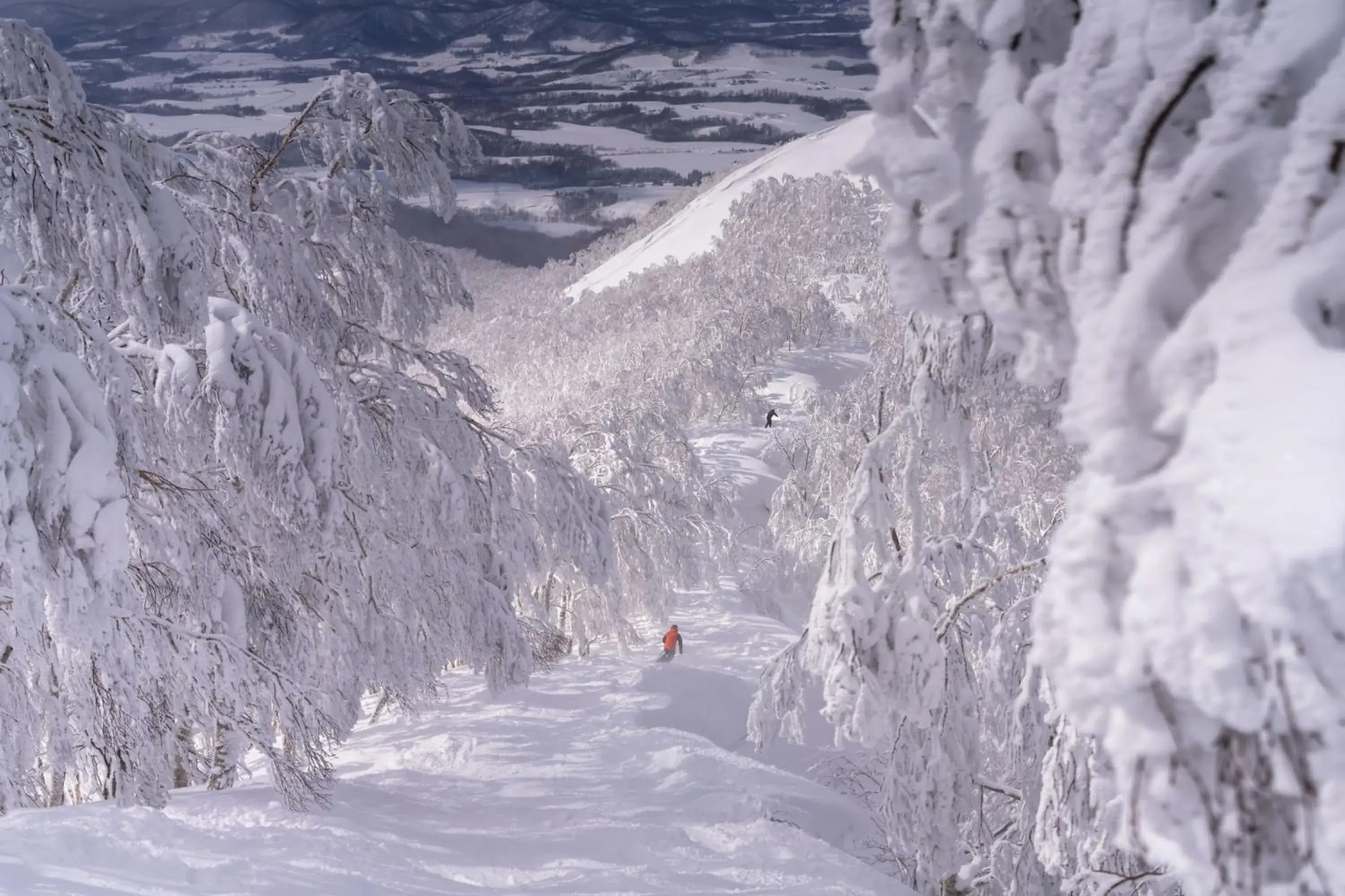 Other, Winter in The Westin Rusutsu Resort