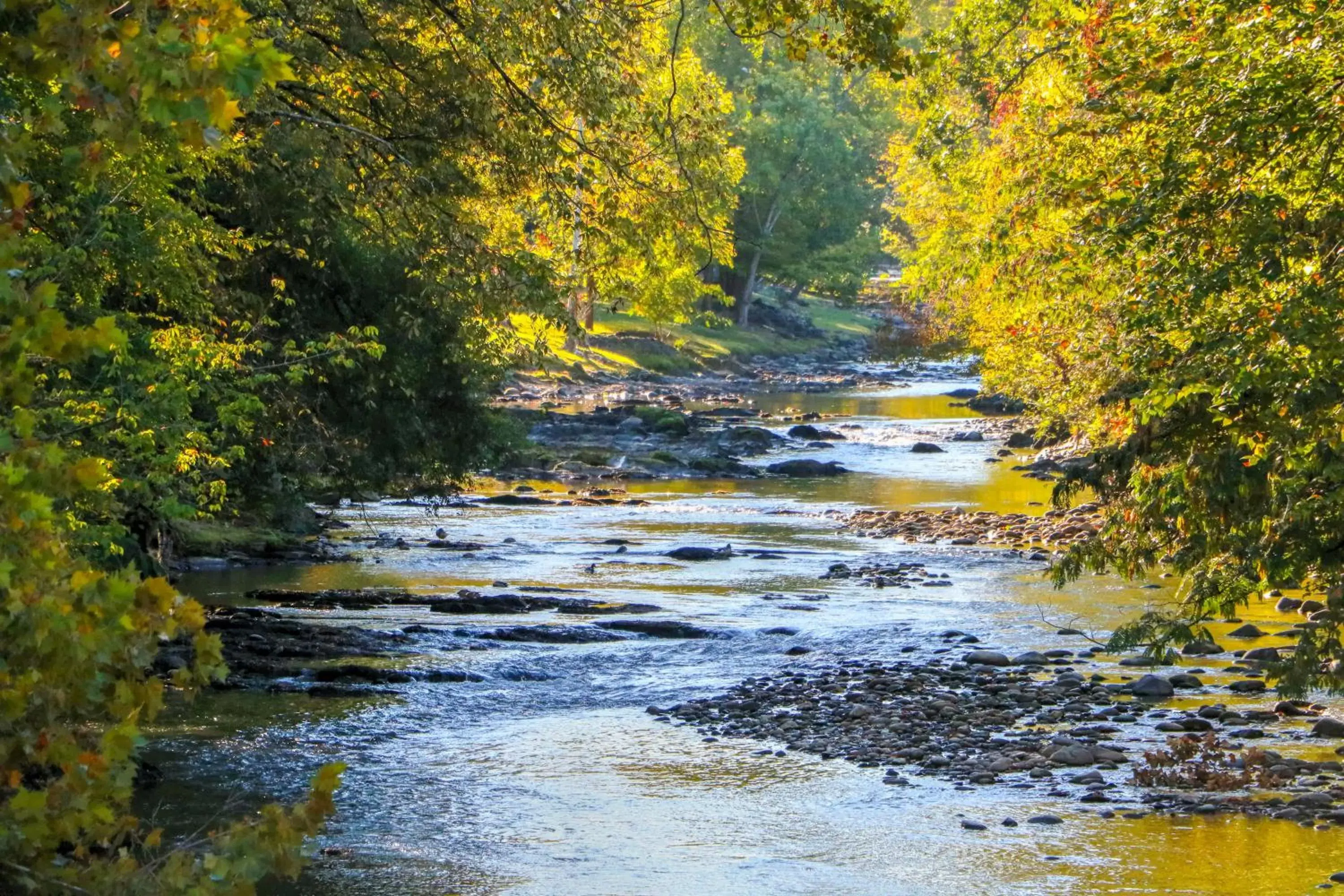 Natural Landscape in RiverStone Resort & Spa