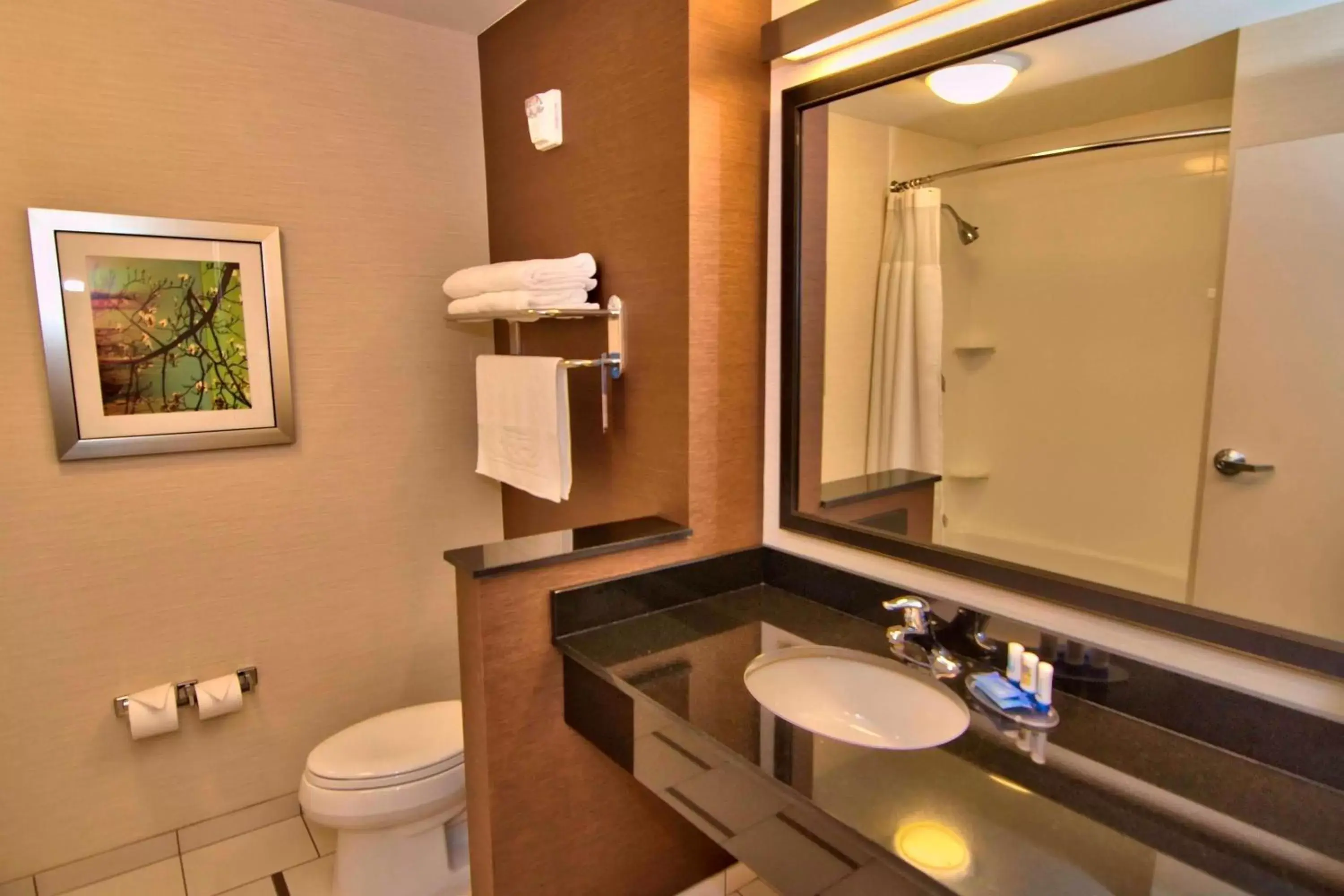 Bathroom in Fairfield Inn & Suites by Marriott Towanda Wysox
