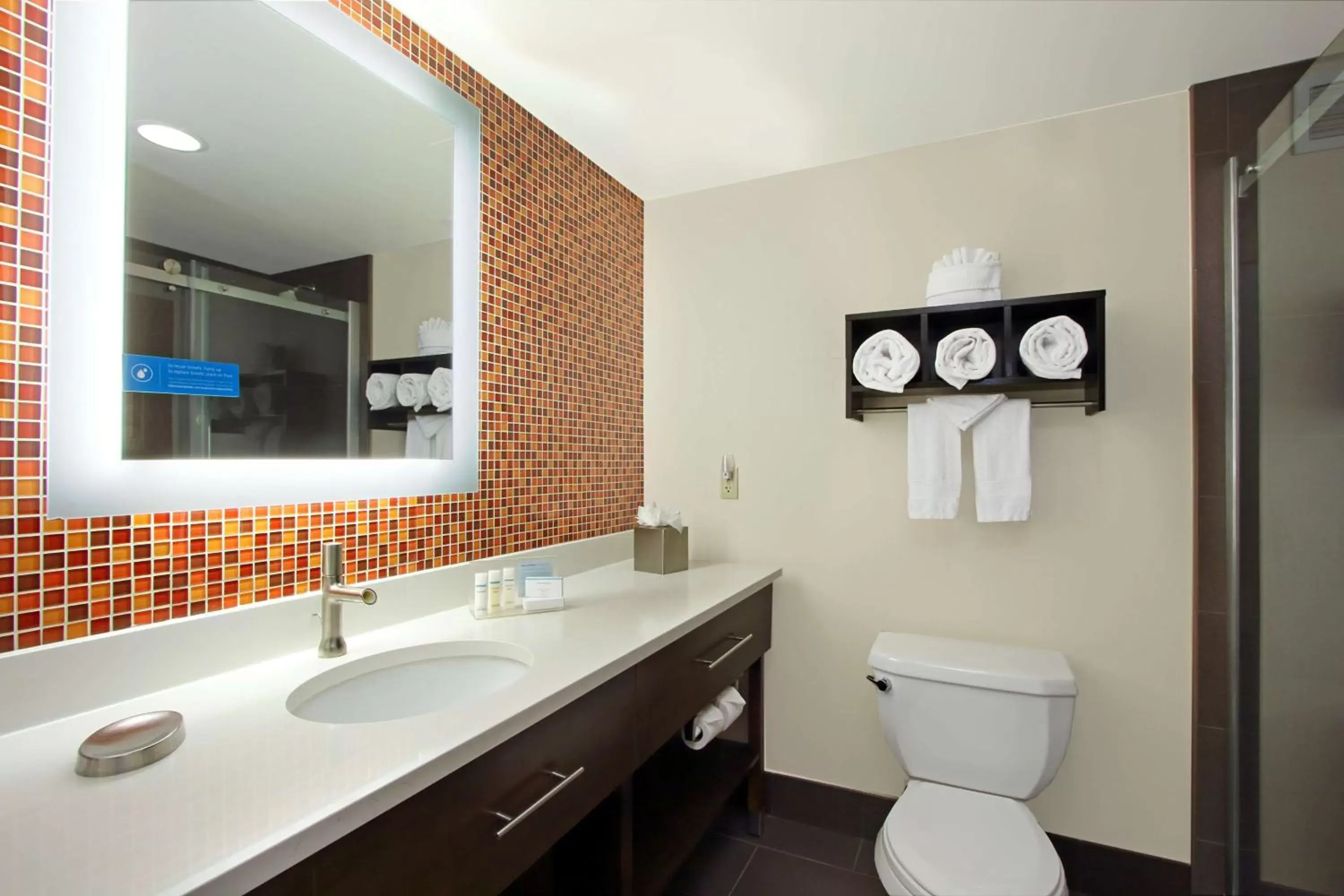 Bathroom in Hampton Inn & Suites Columbus-Downtown, Ohio