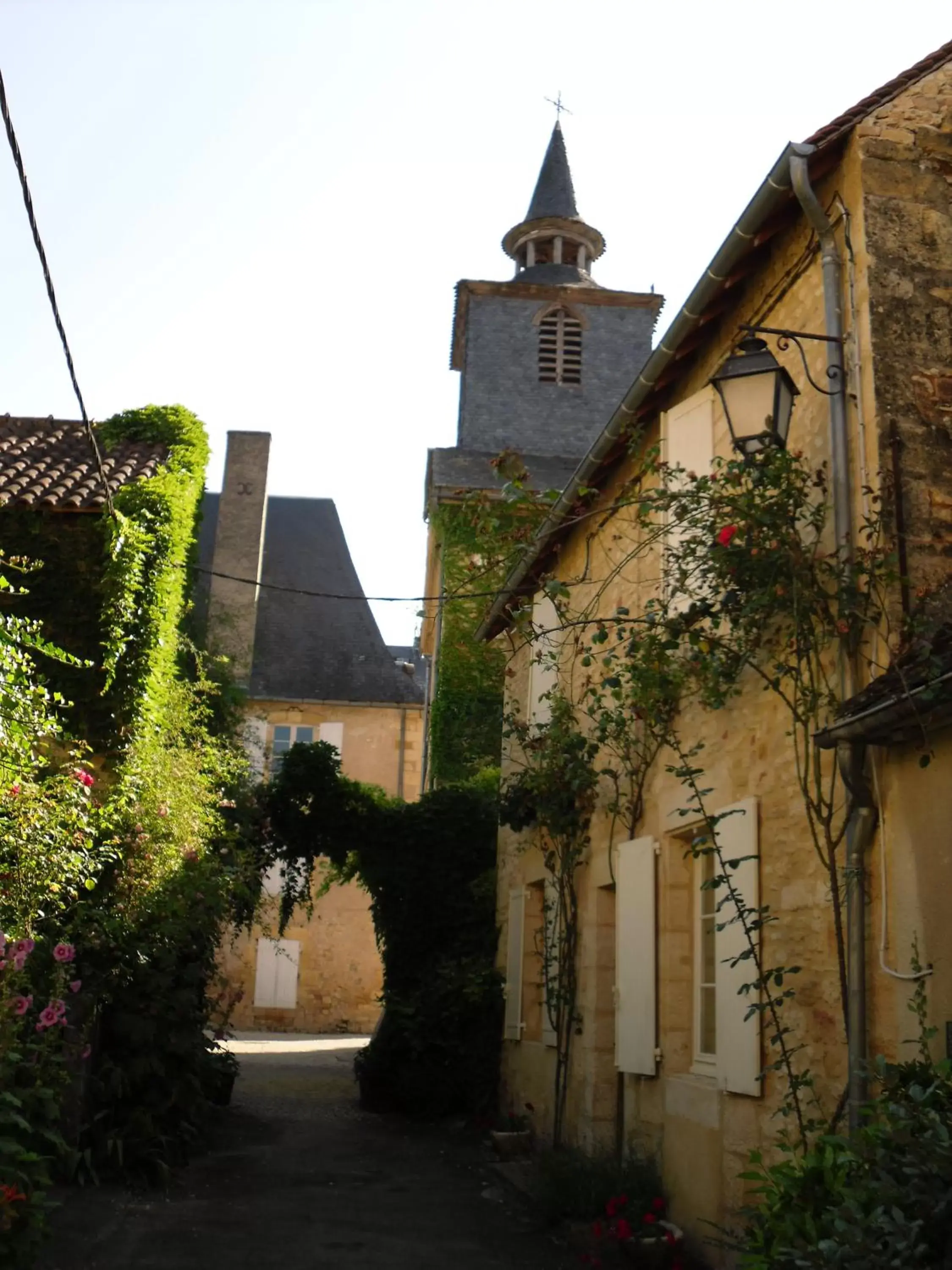 Area and facilities, Property Building in Hôtel Le P'tit Monde