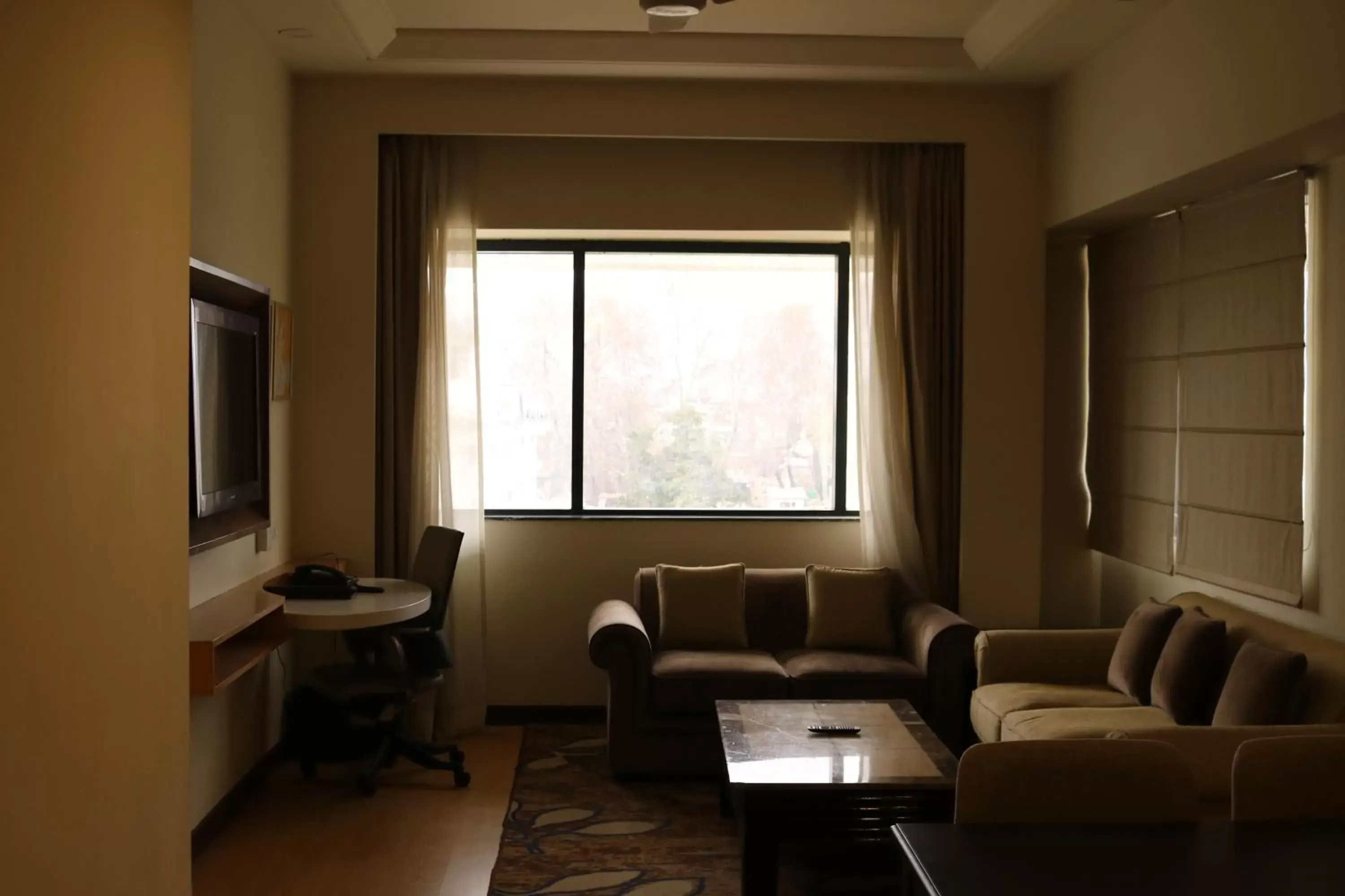 Living room, Seating Area in Radisson Srinagar