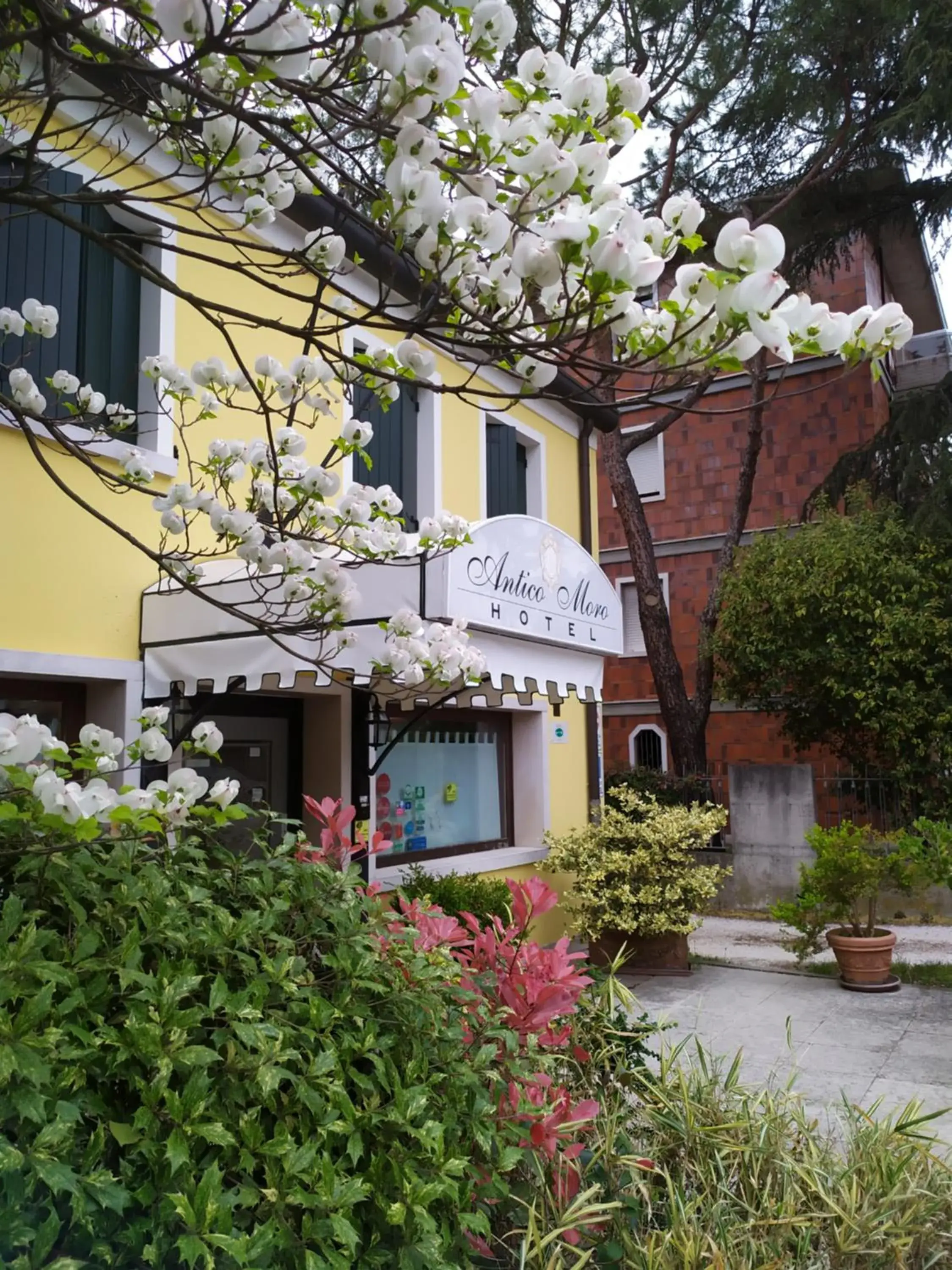 Facade/entrance in Hotel Antico Moro Facade/entrance in Hotel Antico Moro