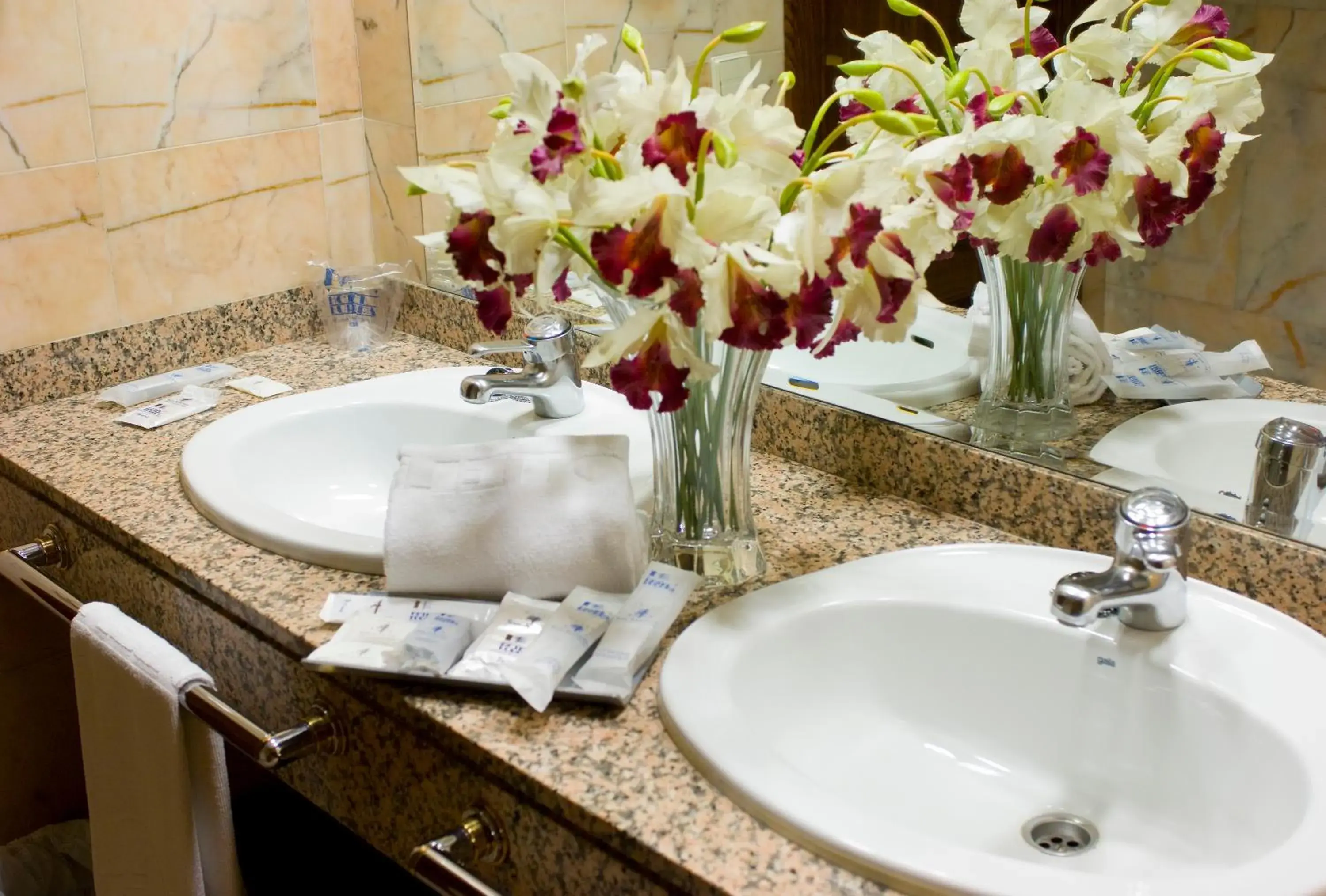 Bathroom in Hotel San Antonio