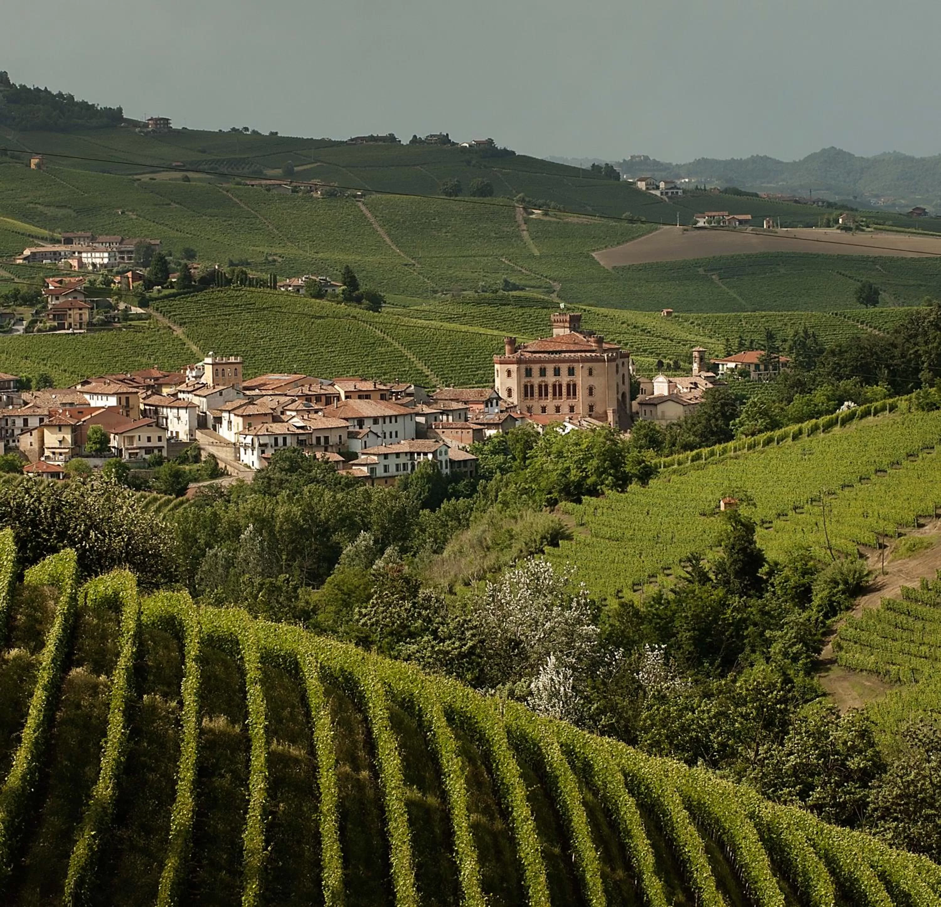 AgriCamping AlbaVillage Hotel & Wellness