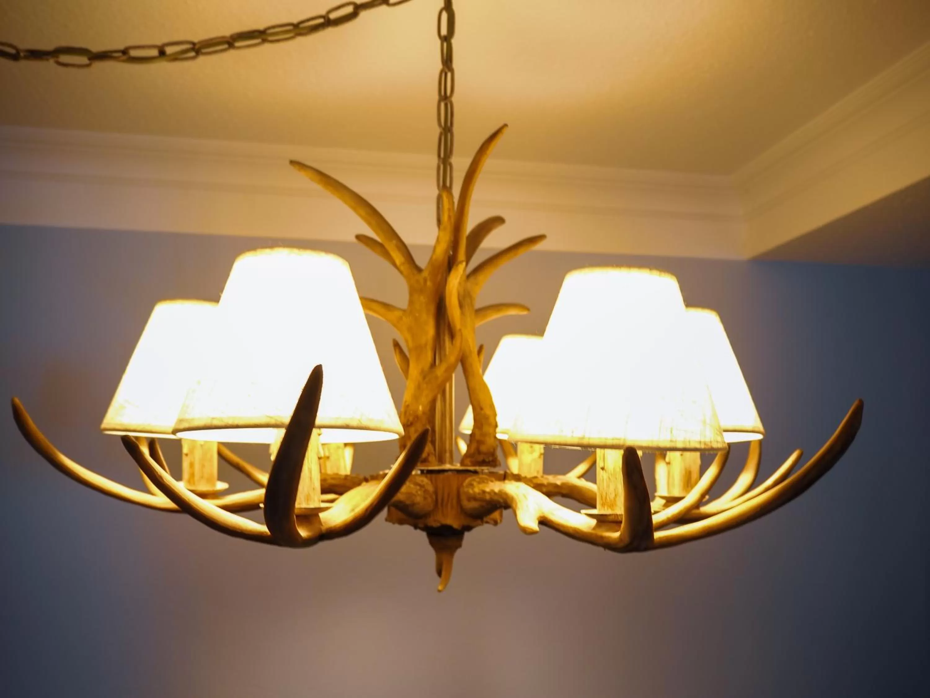 Photo of the whole room in Sauna & Whirlpool - ALPENLIEBE APARTments