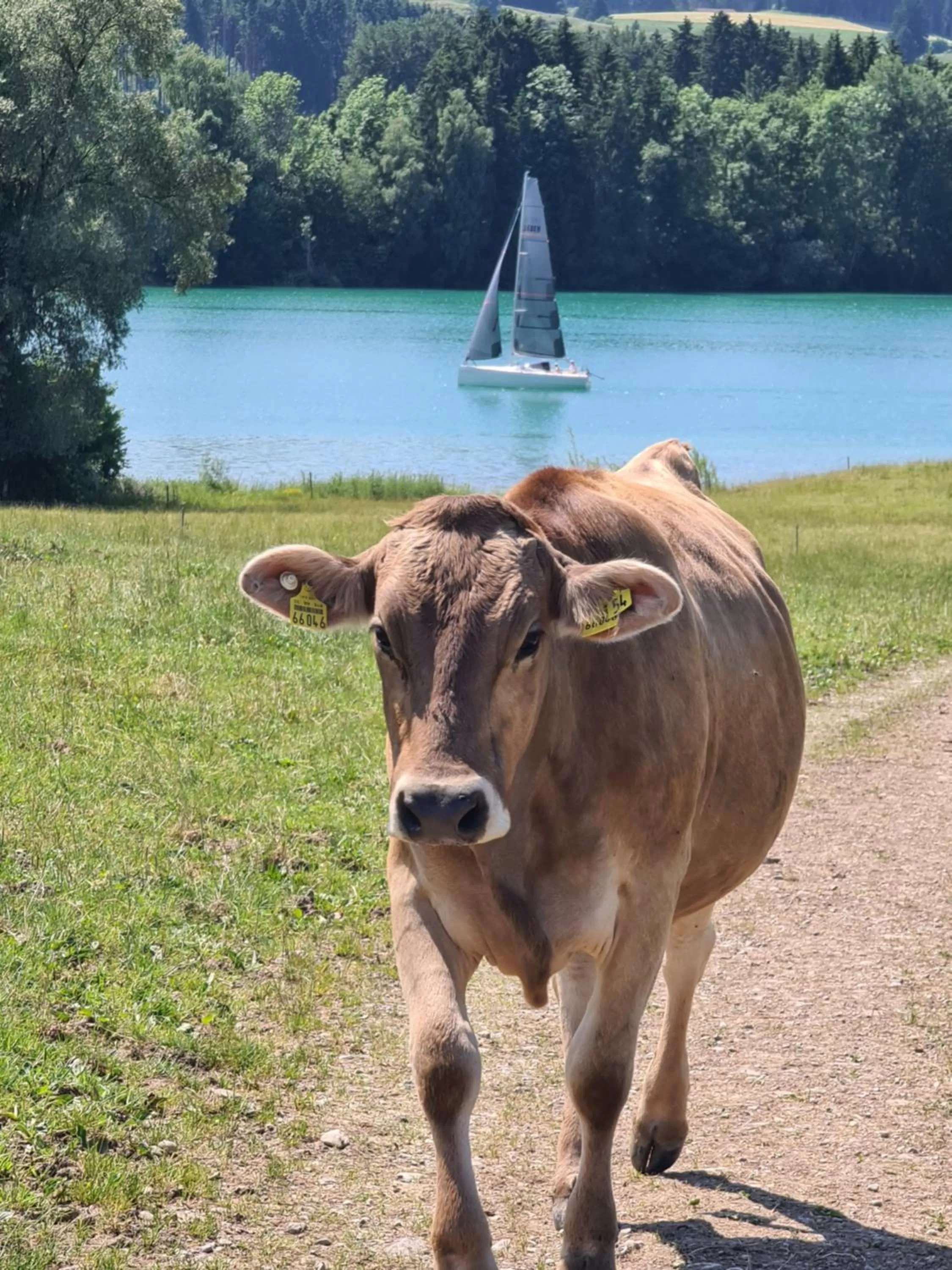 Summer in Ferienhaus und Landhaus Berger