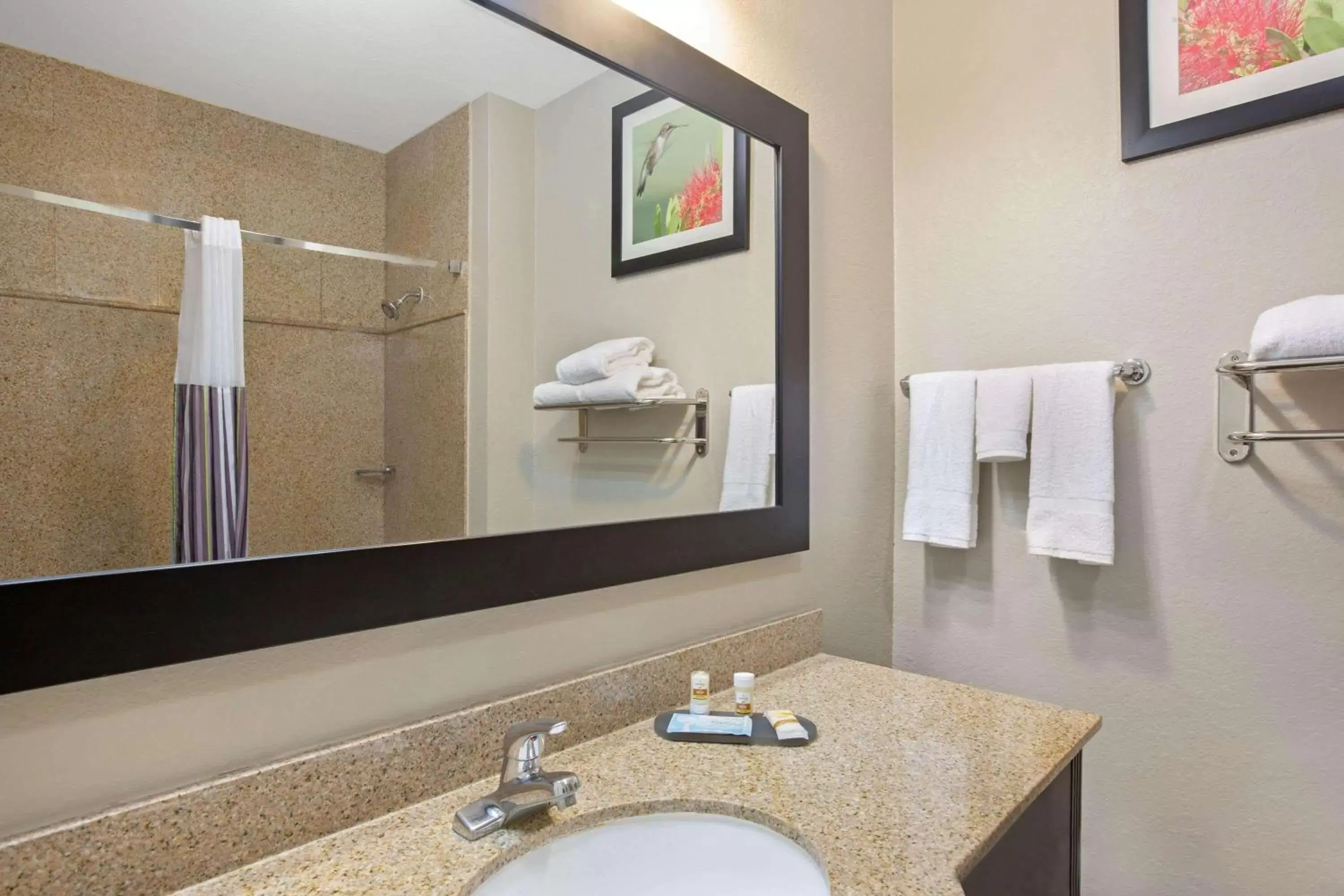 Bathroom in La Quinta by Wyndham Pearland