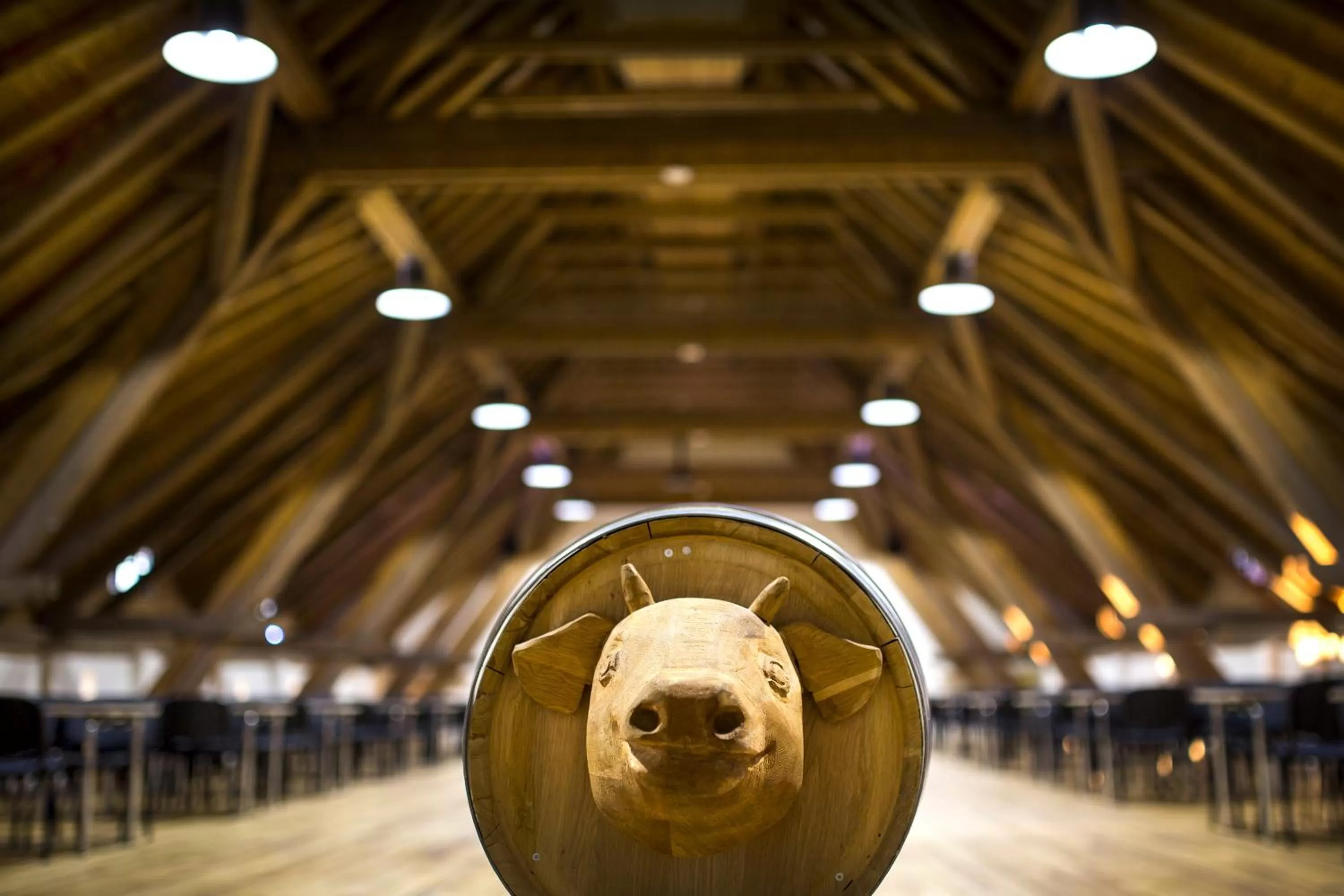 Business facilities in Penzion Panský dvůr Telč