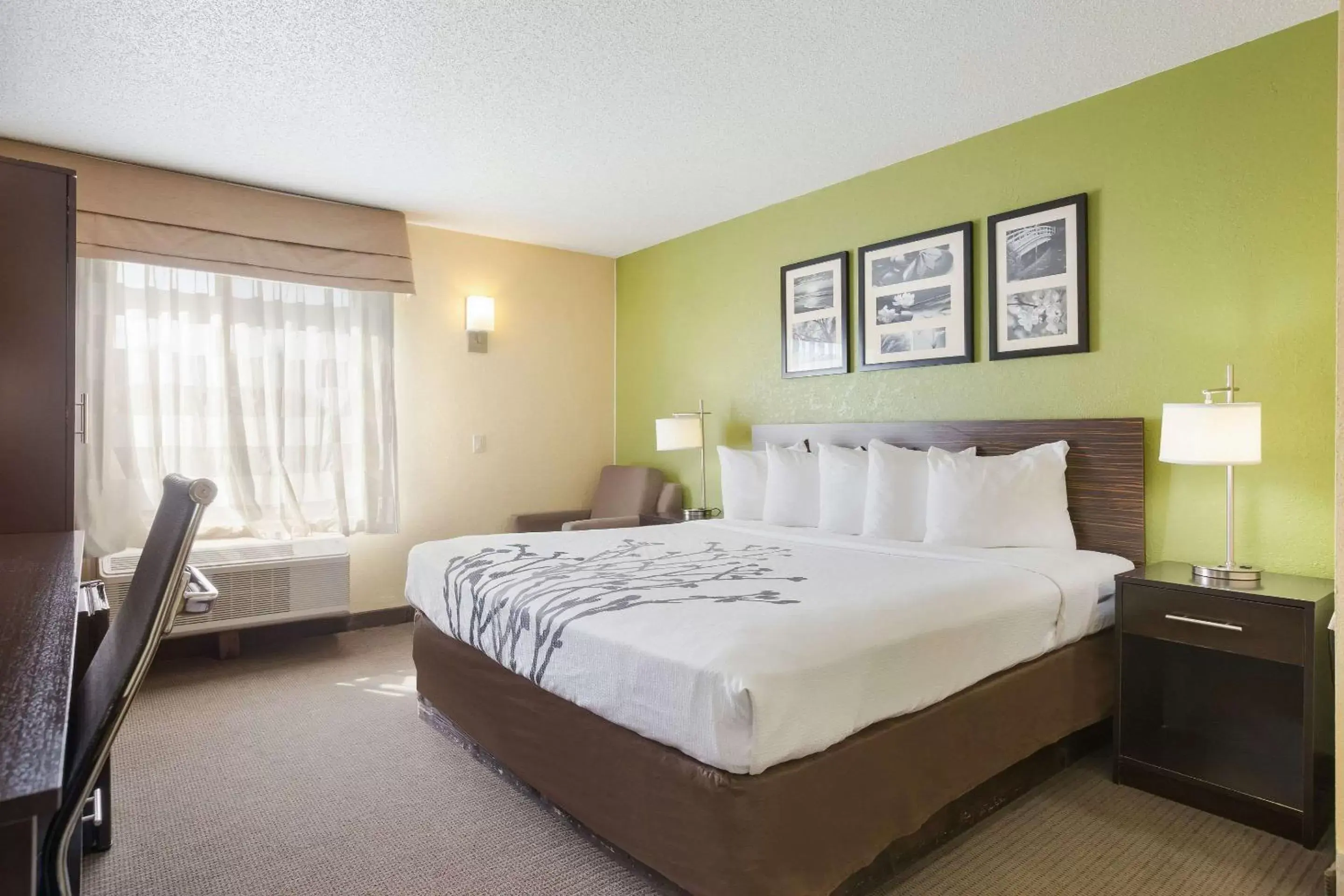 Photo of the whole room, Bed in Sleep Inn & Suites