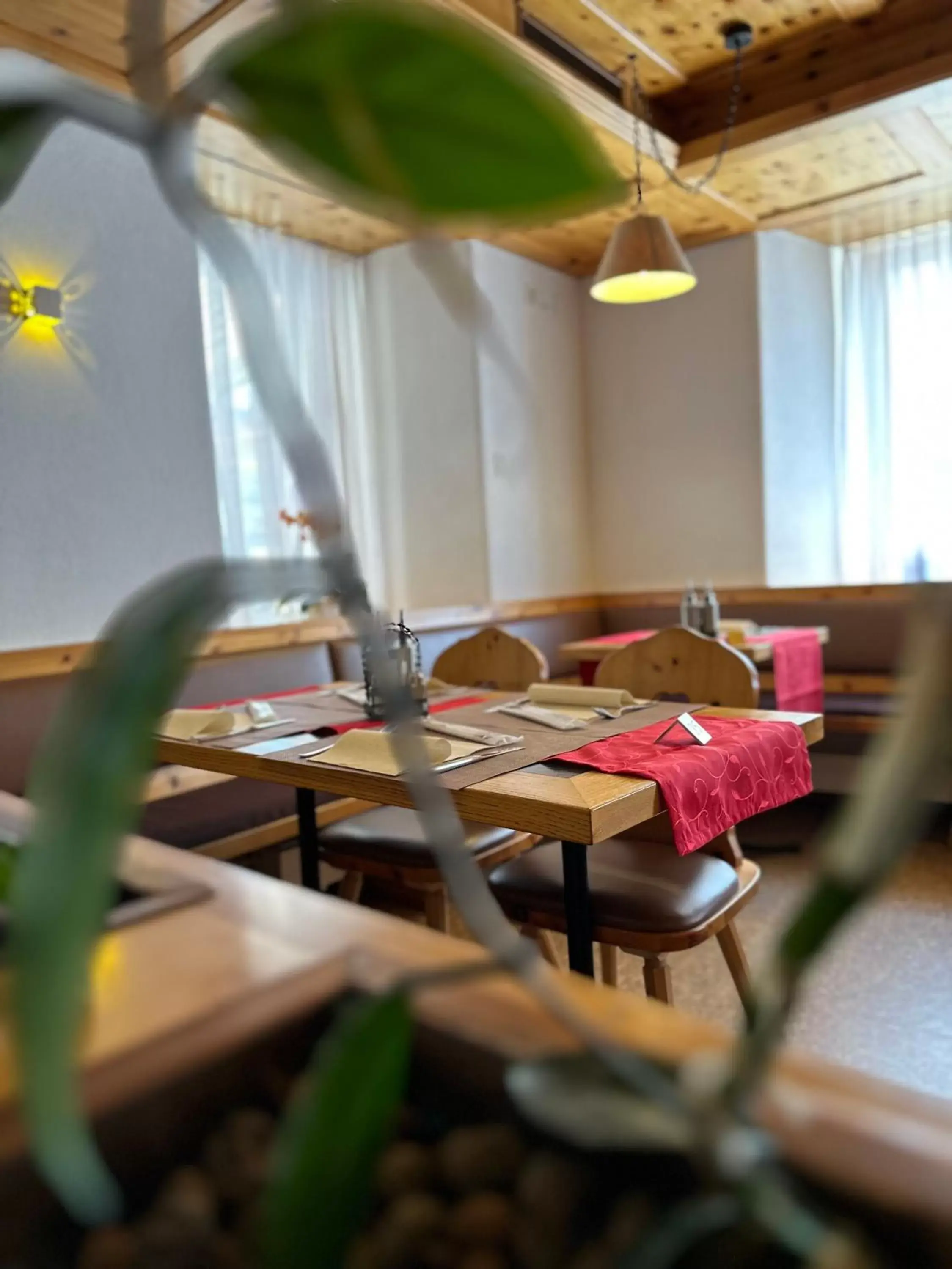 Restaurant/Places to Eat in Hotel Acla Filli