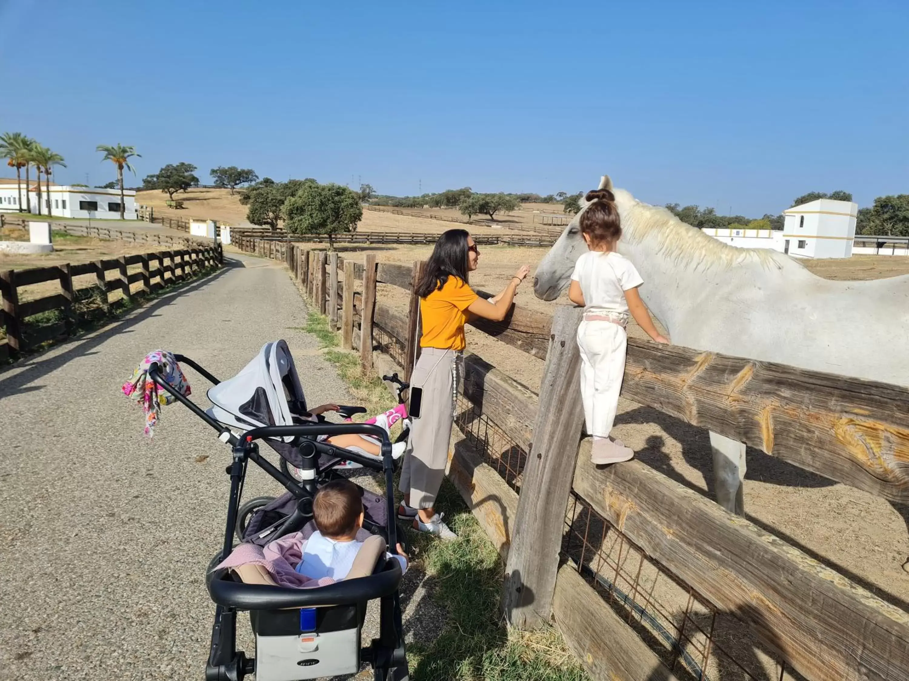 Horse-riding in Alojamiento Rural Finca Barral