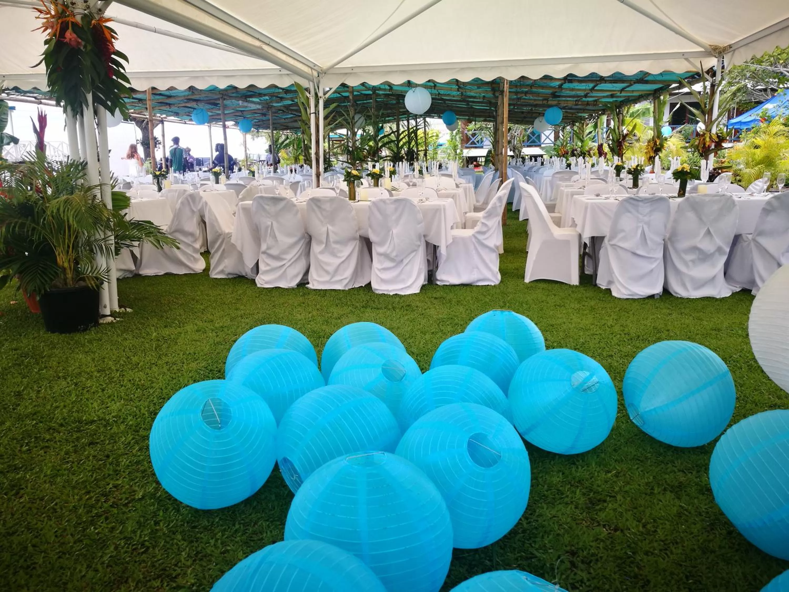 Garden in Rapopo Plantation Resort