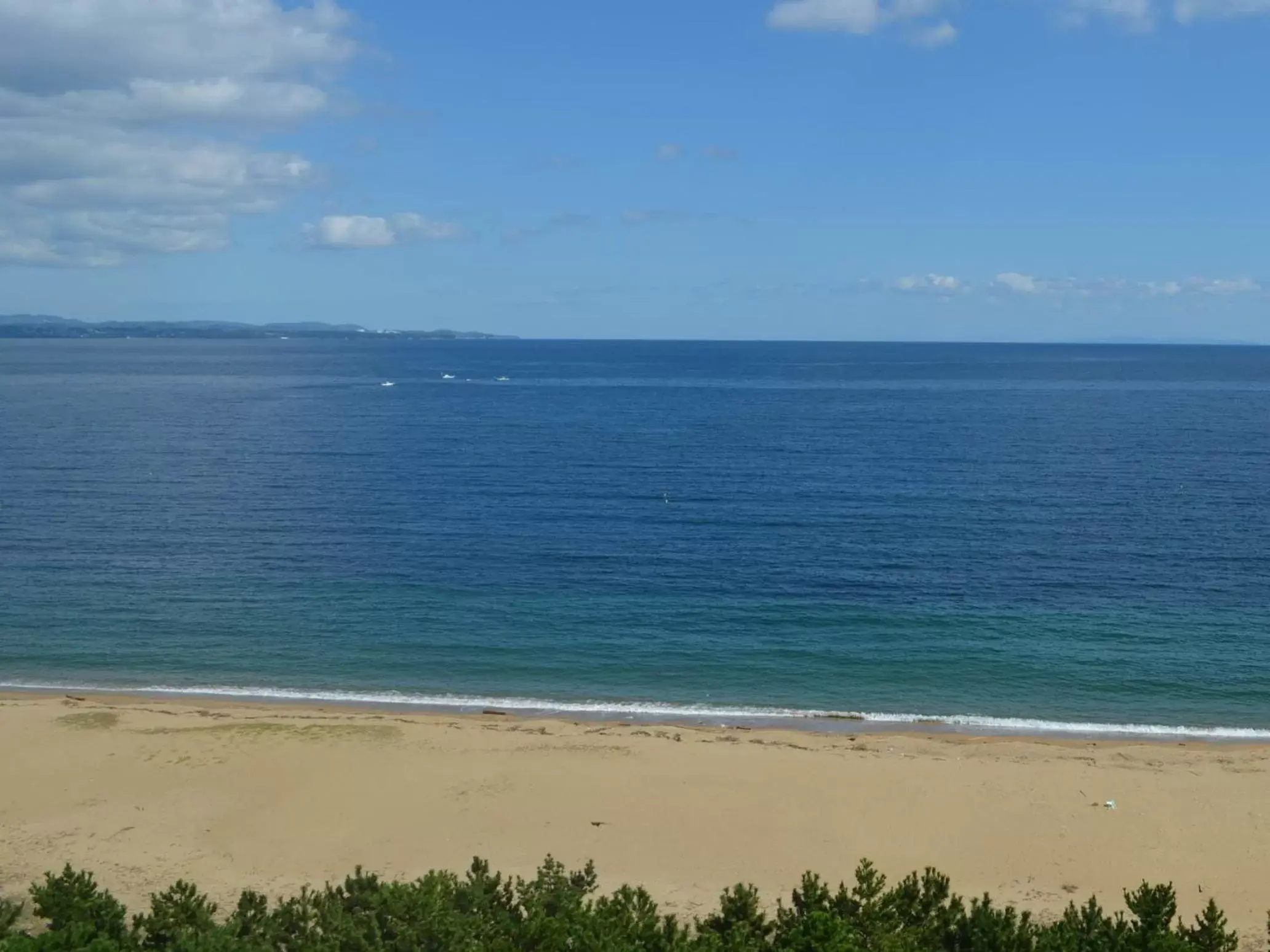 Beach in REX HOTEL Beppu