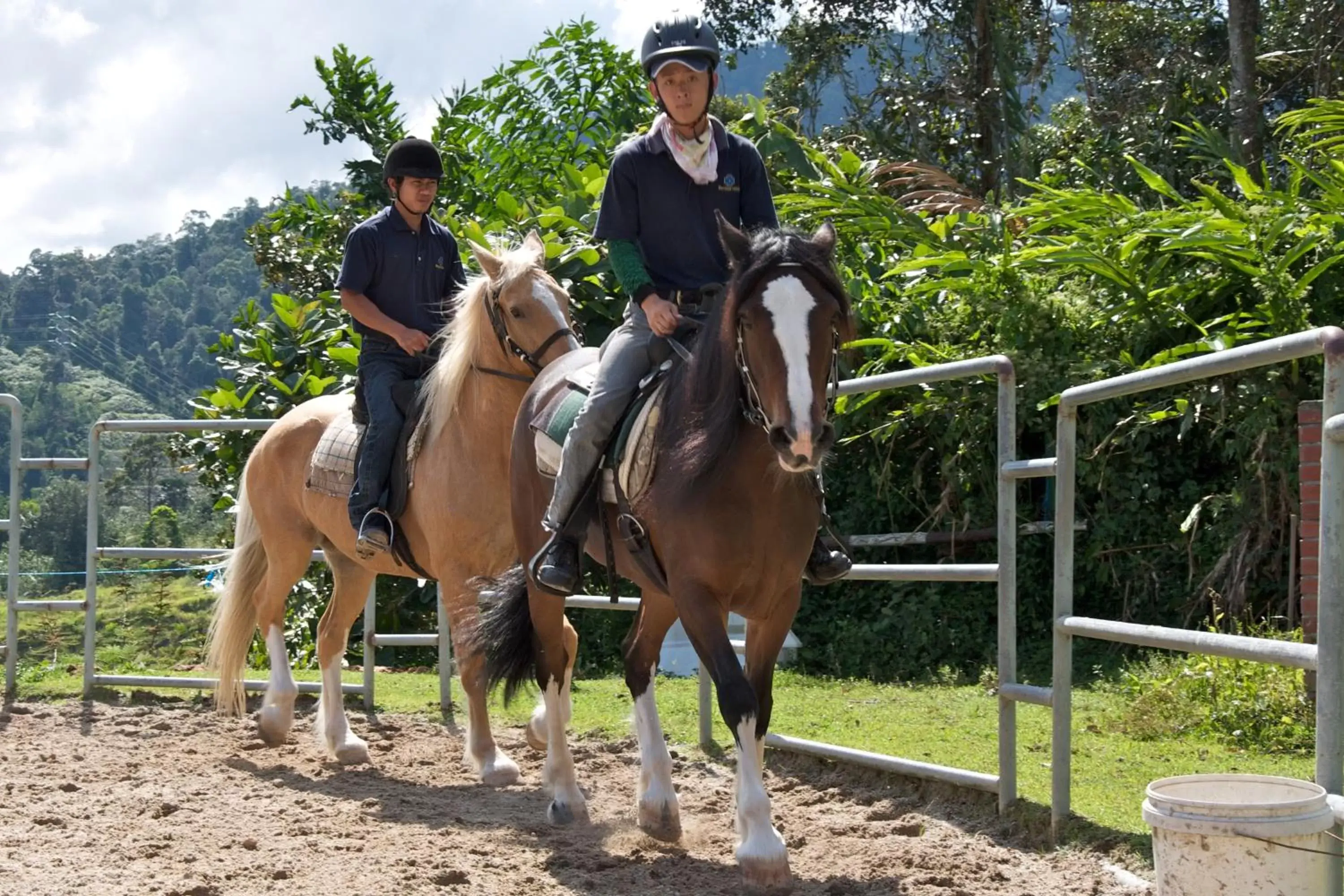 People, Horseback Riding in Colmar Tropicale