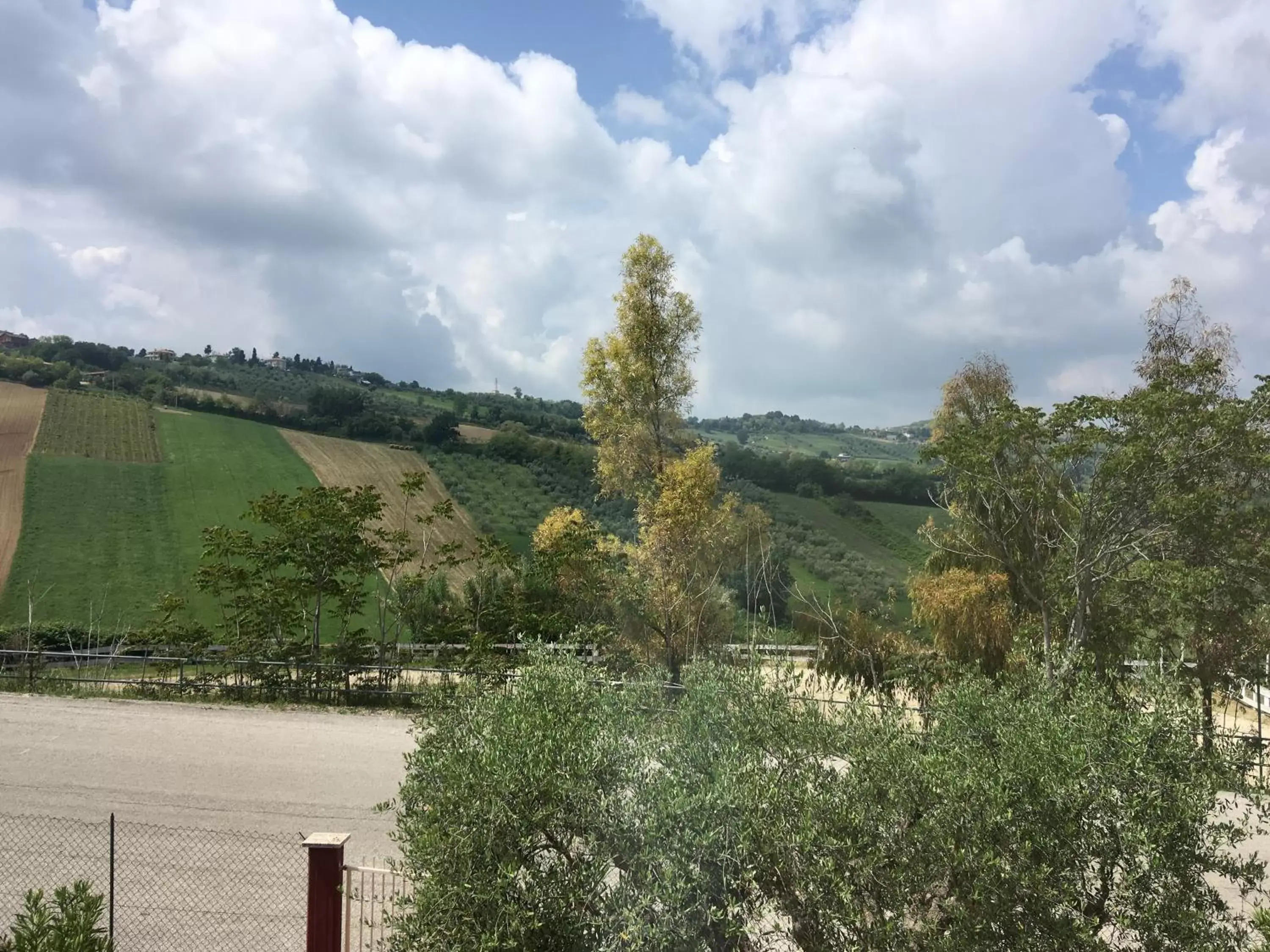 Garden view in Fattoria Cerreto