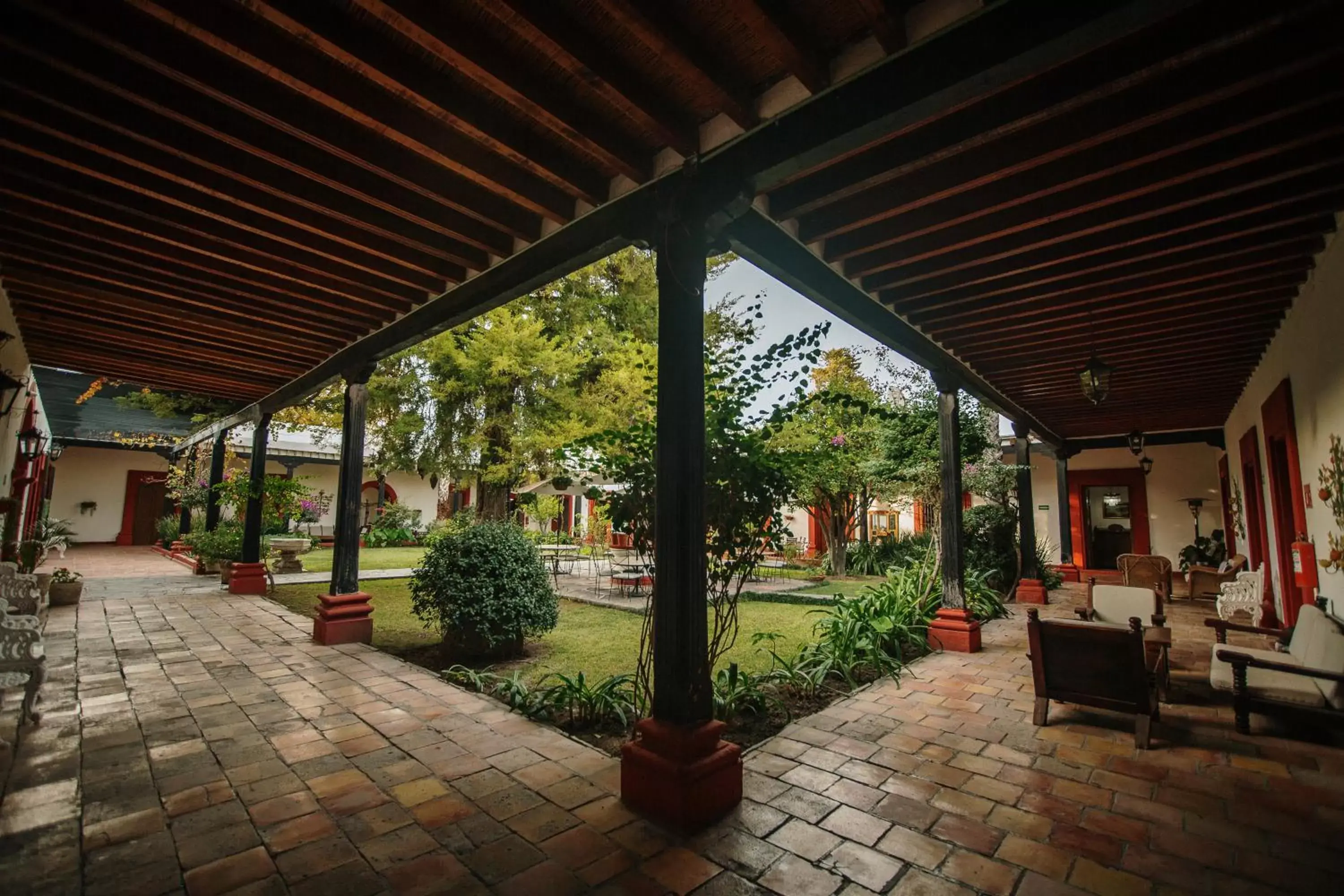 Garden in Hotel El Farol