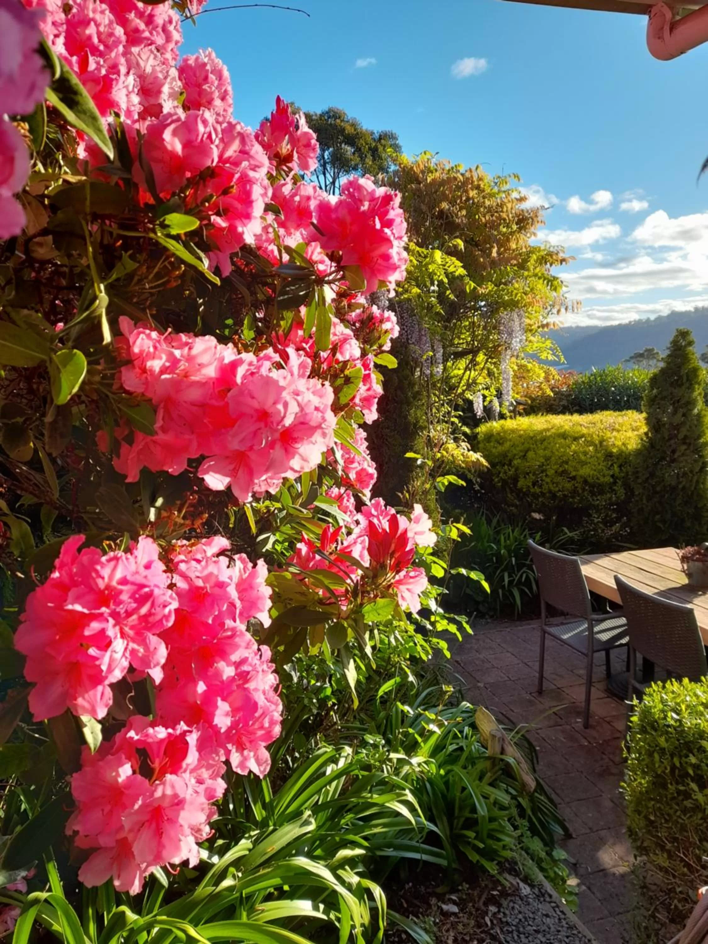 Hillside Bed and Breakfast