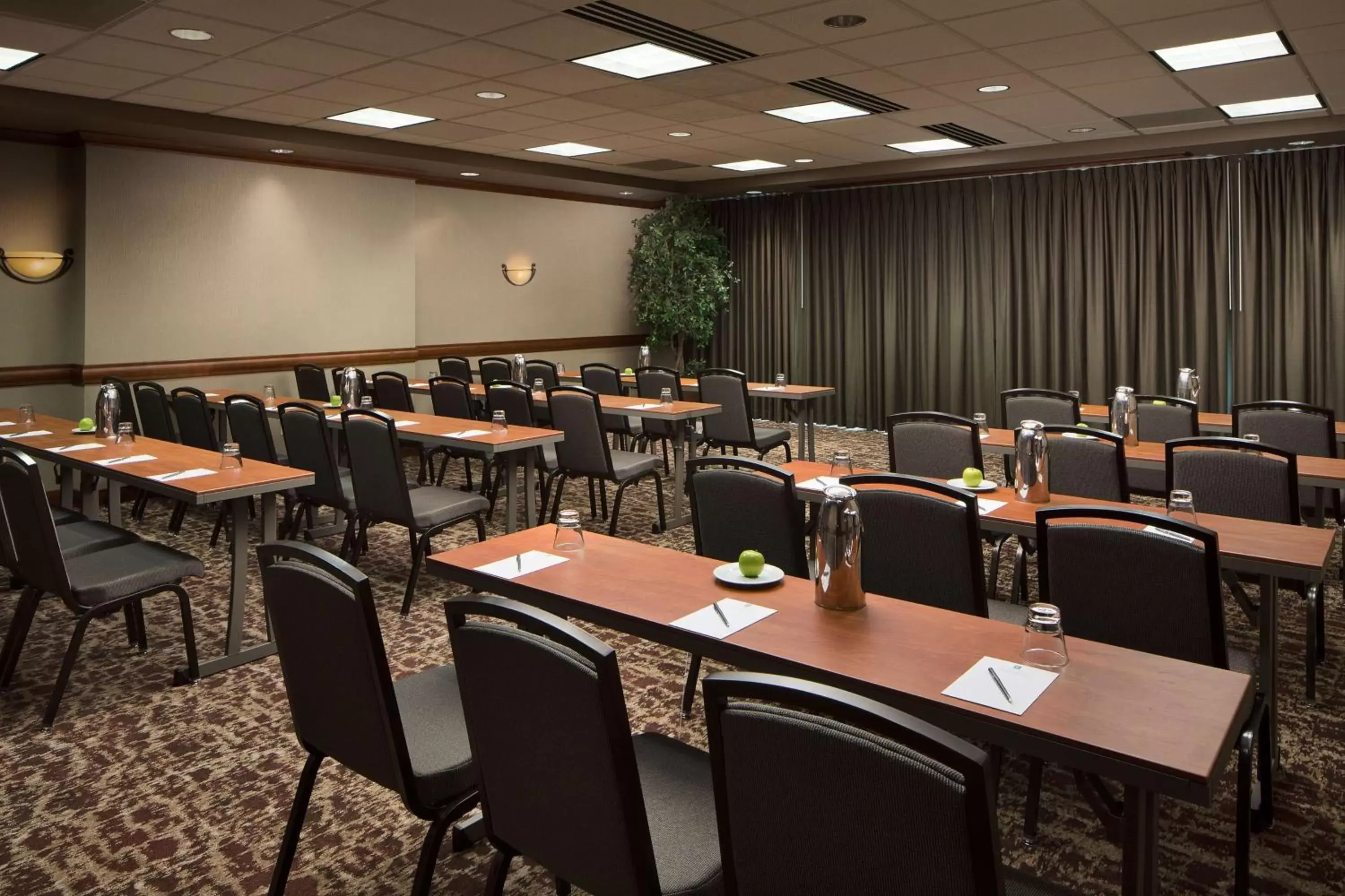 Meeting/conference room in Embassy Suites by Hilton Dallas Frisco Hotel & Convention Center