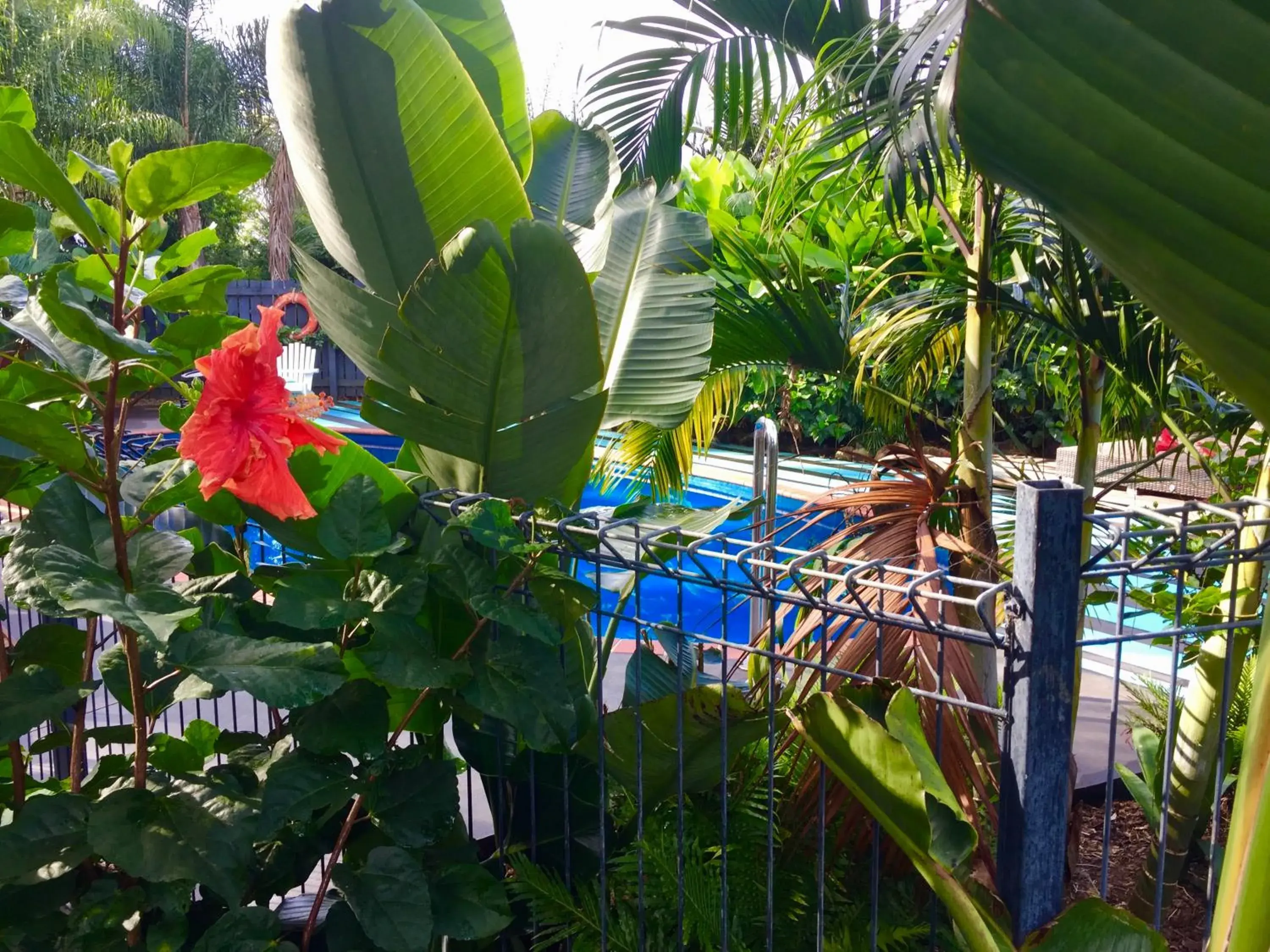 Garden view, Pool View in Stay Kerikeri