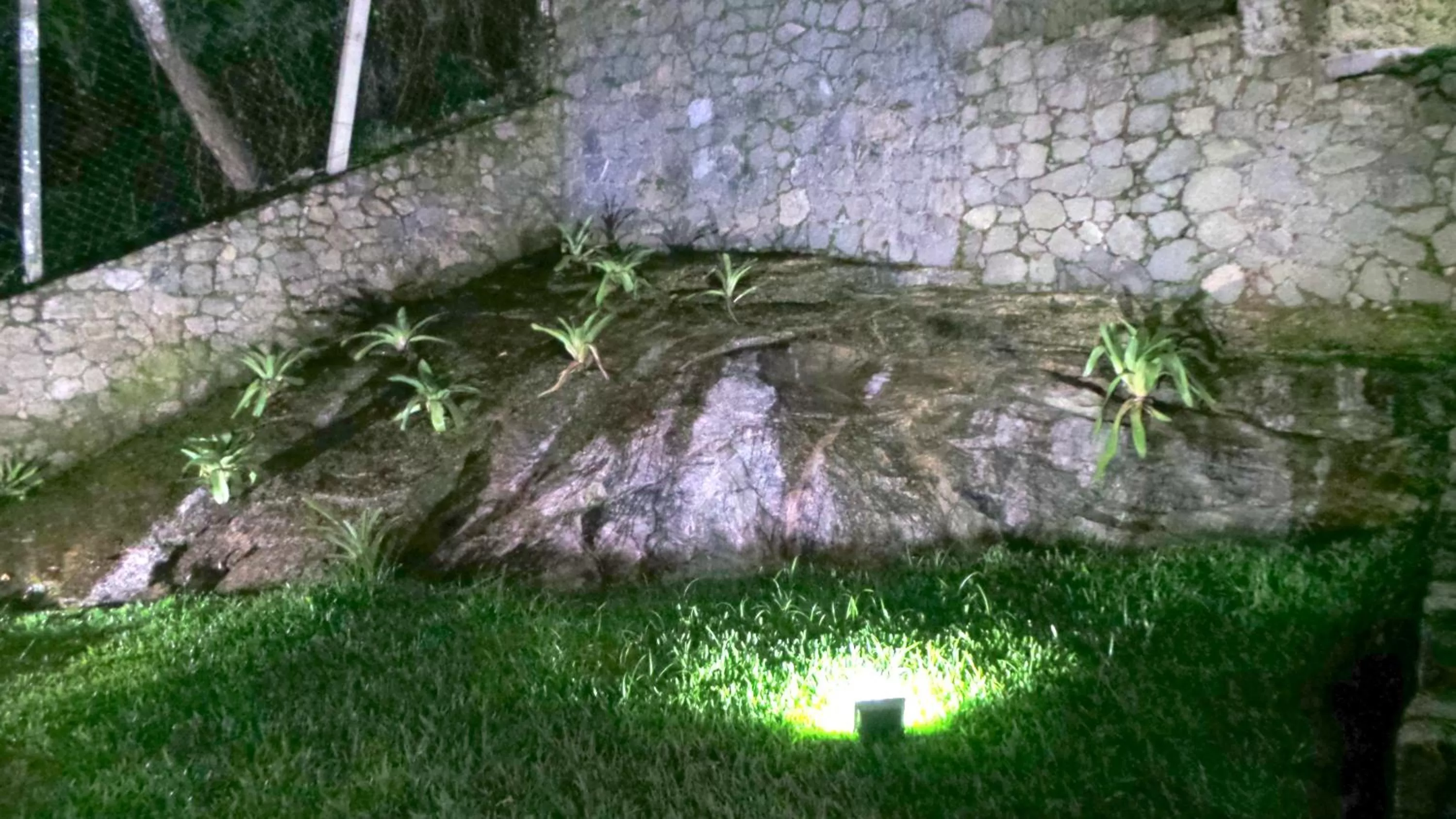 Garden in Ocean Green Flats