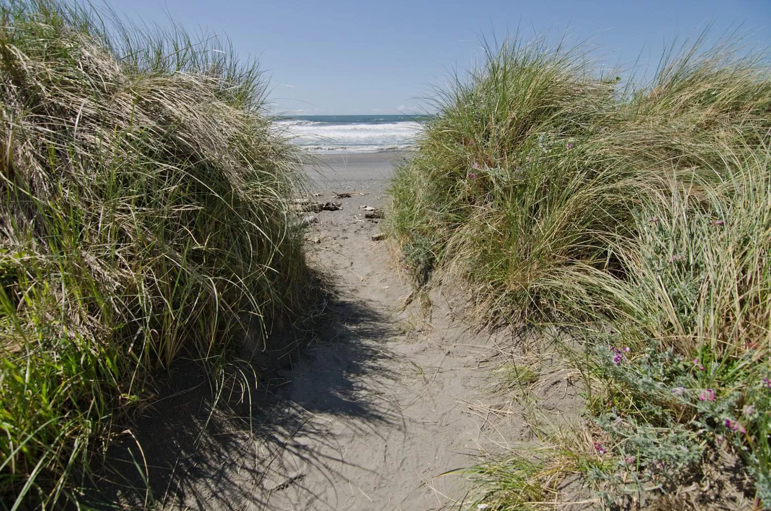Natural landscape in Pacific Reef Hotel & Light Show