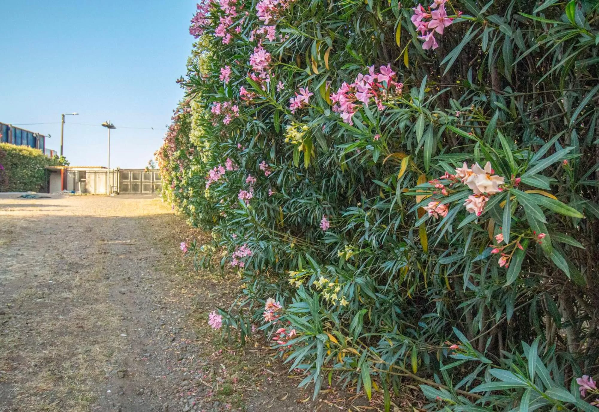 Royal Playa Suite and Apartament -private parking- self chek out