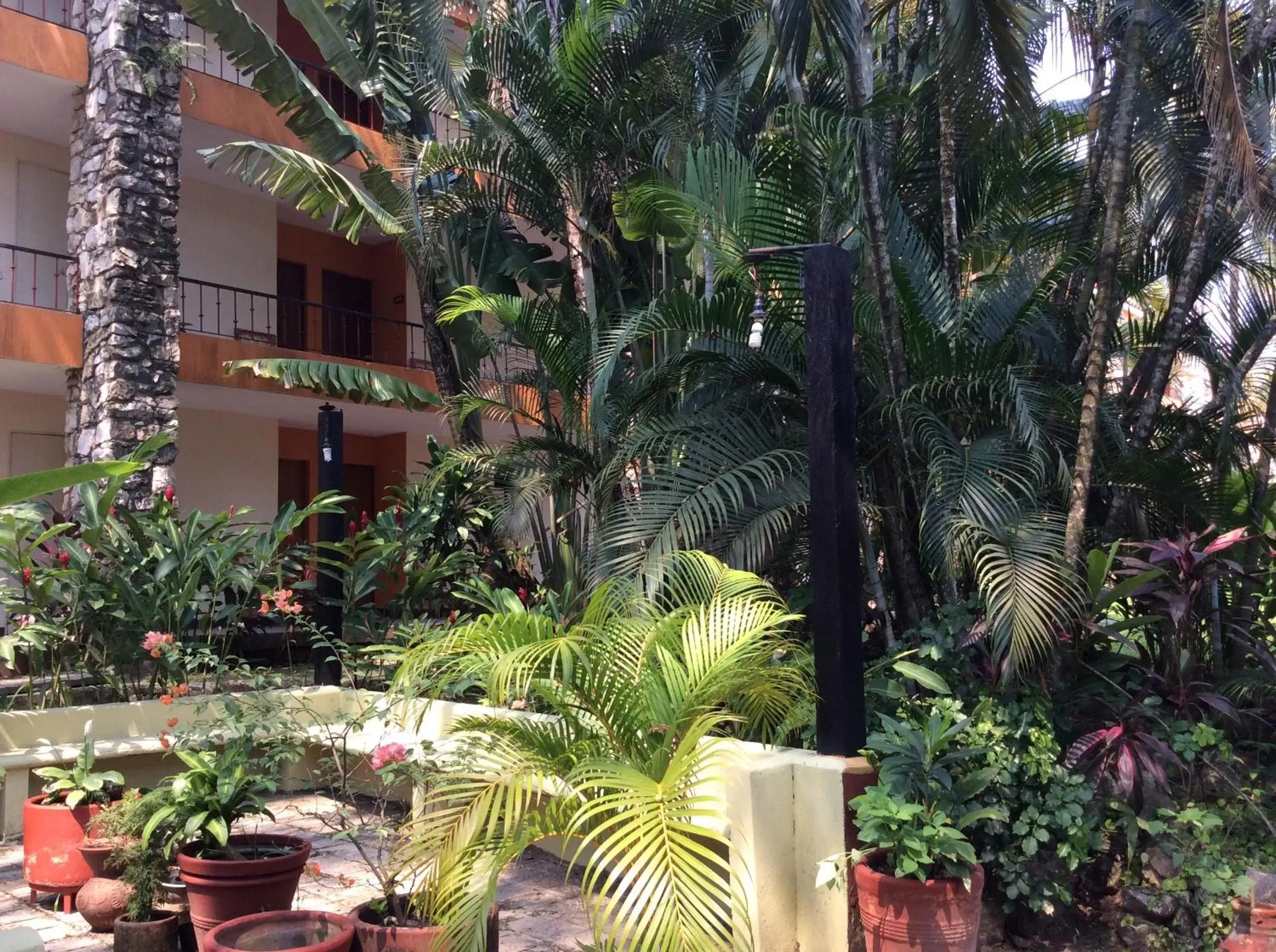 Garden in Hotel Plaza Palenque